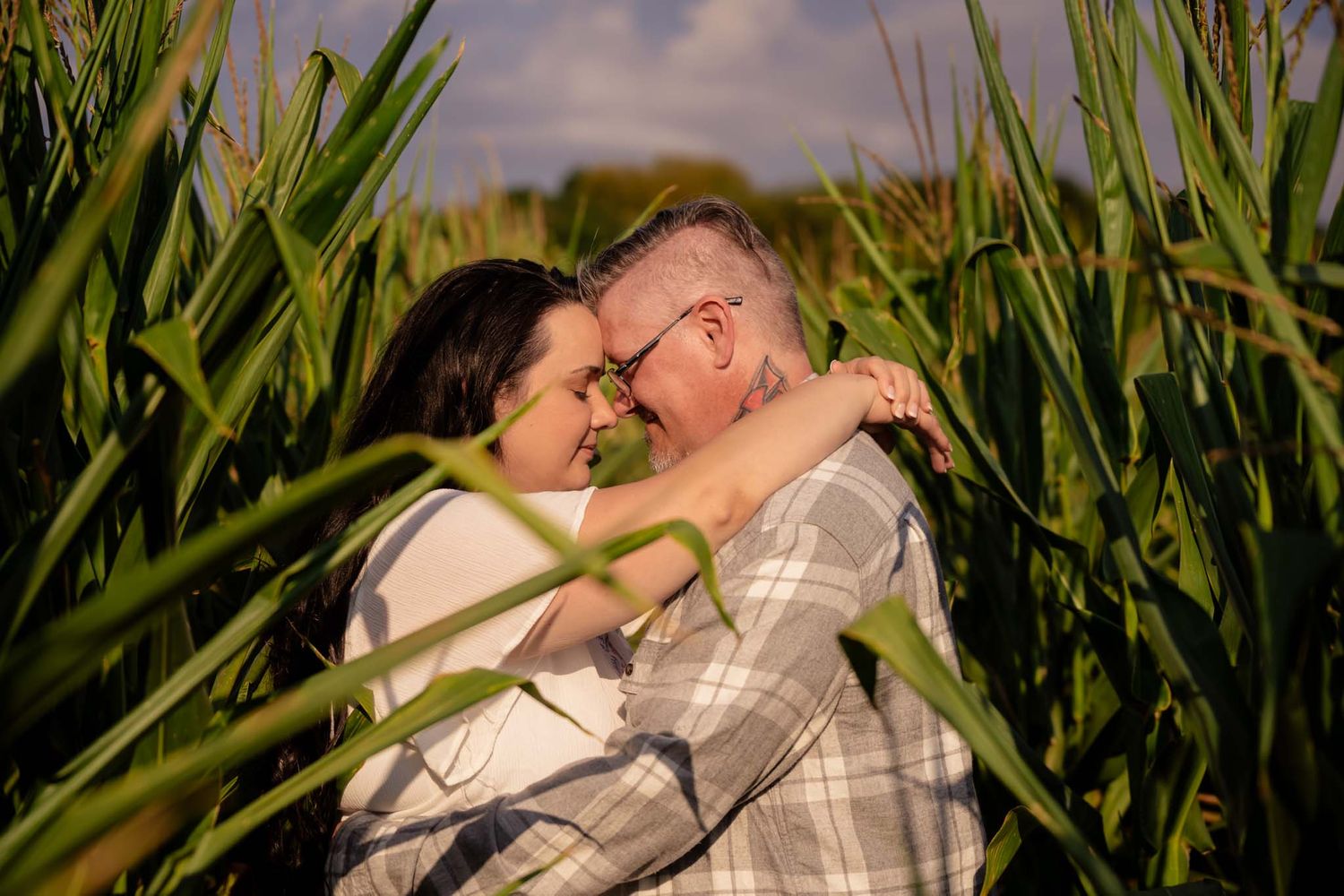 Romantic couple embracing forehead-to-forehead surrounded by tall green corn stalks in a field.
