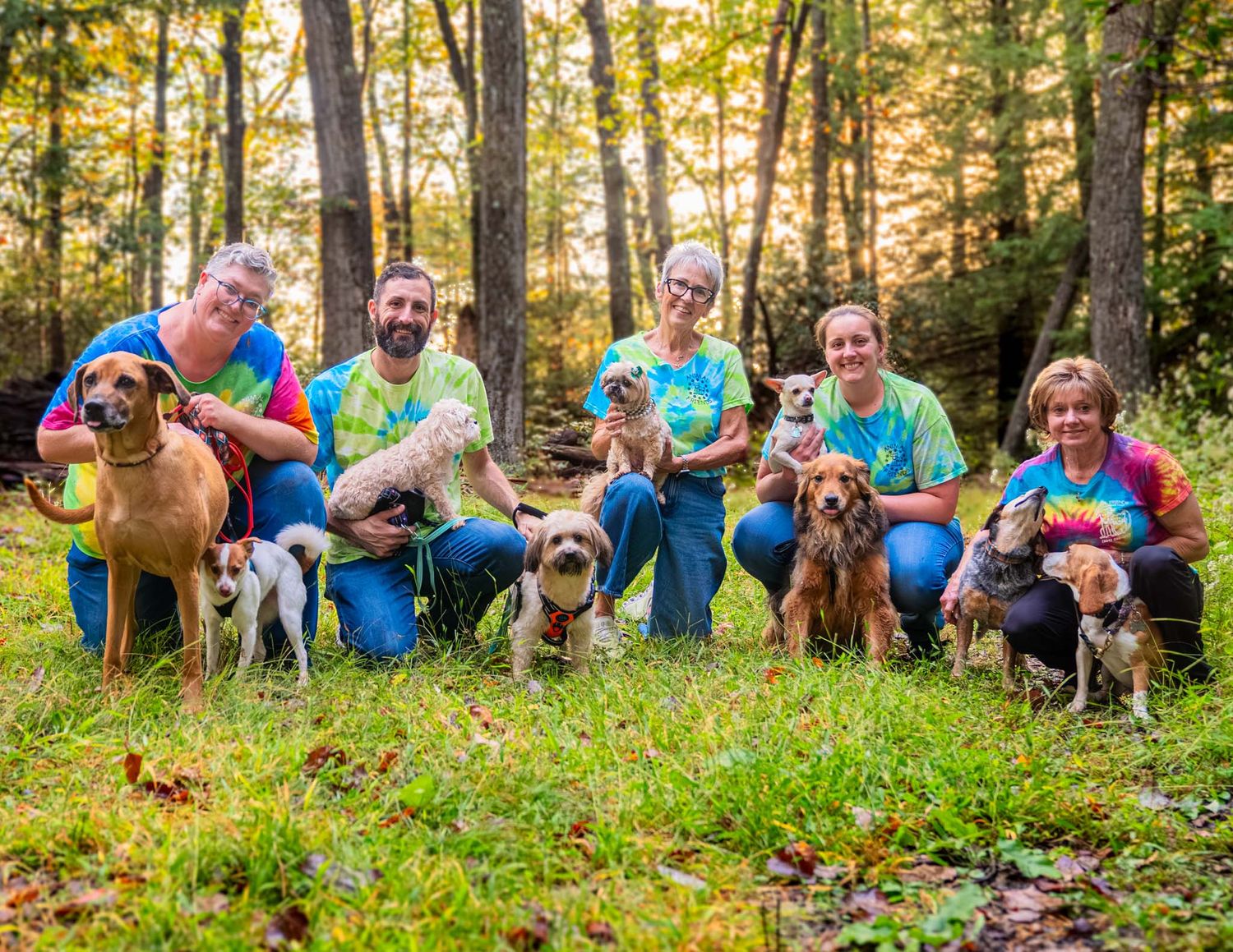 Six people in tie-dye shirts kneel with their dogs in a sunny forest clearing in autumn.