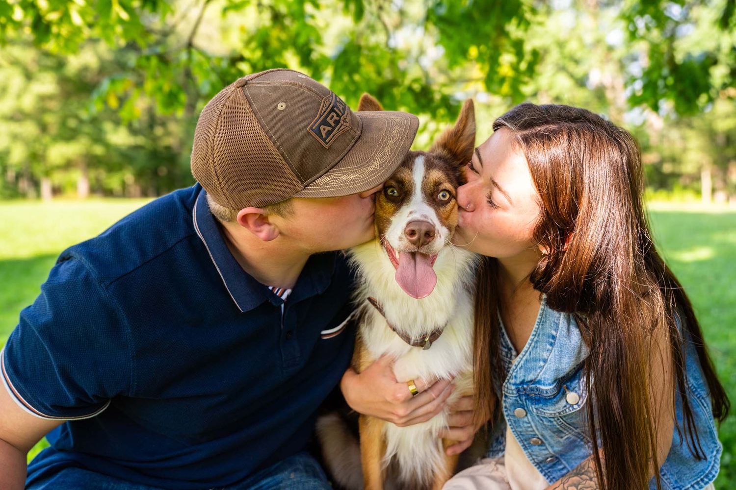 Couple kisses brown and white Border Collie dog on cheeks while sitting together in sunny green park.