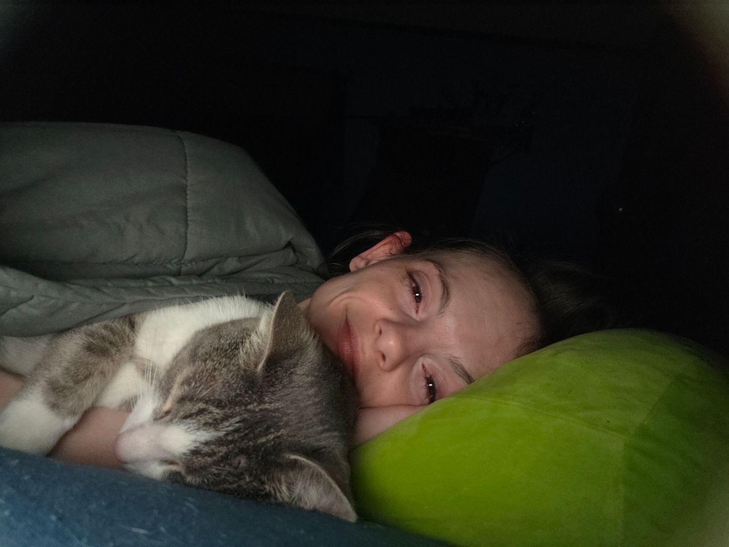 Person smiling while cuddling with a tabby cat on a couch with green and gray pillows.