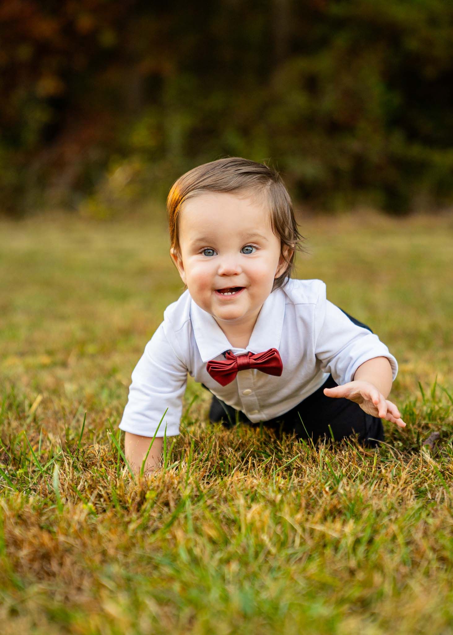Adorable baby boy in white shirt and red bow tie crawling on green grass outdoors.