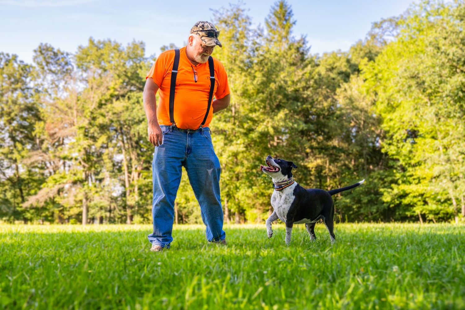 Man in orange shirt training a black and white dog on green grass in a sunny park.