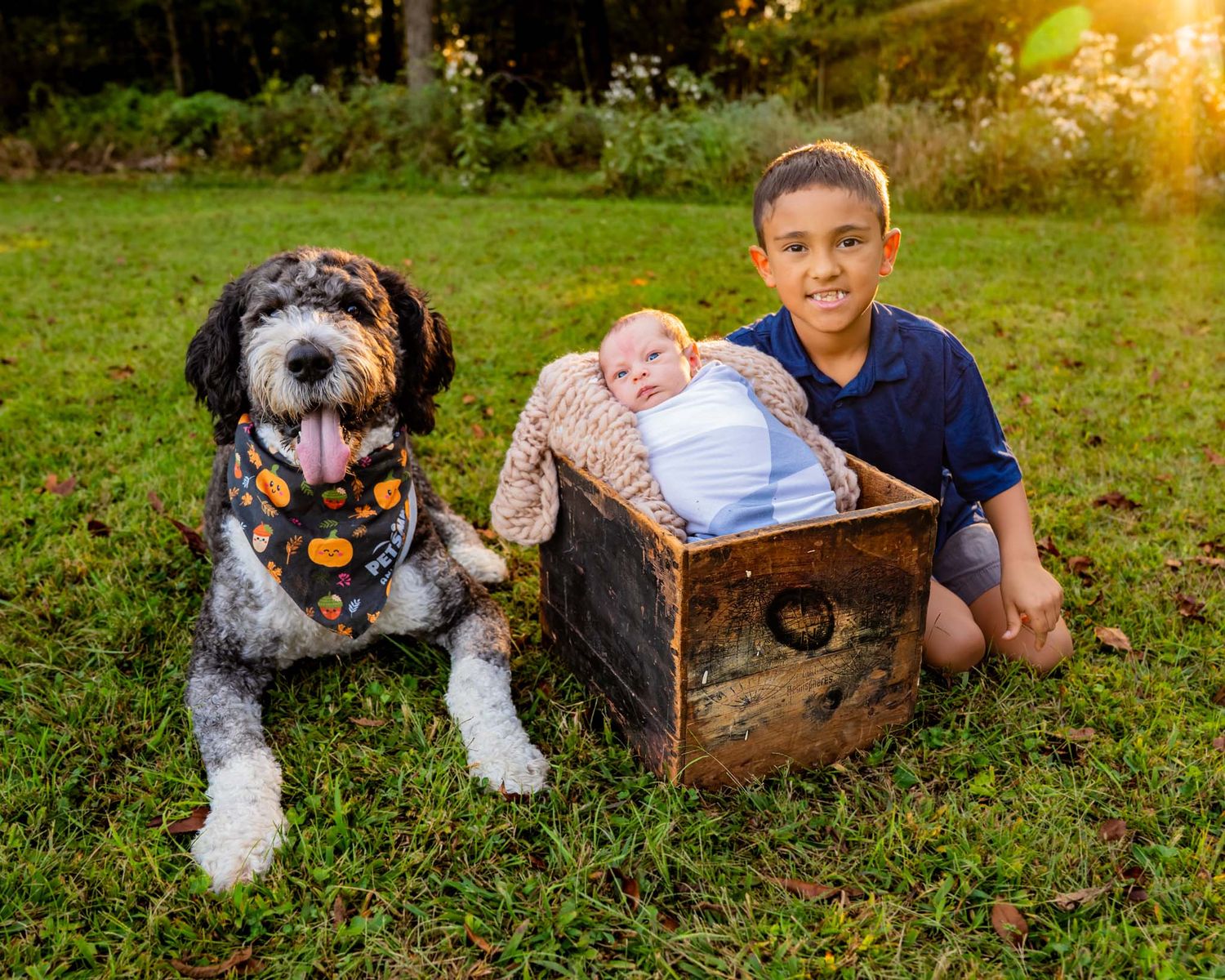 Young boy smiles beside a fluffy dog and newborn baby in a wooden crate on a sunny green lawn.