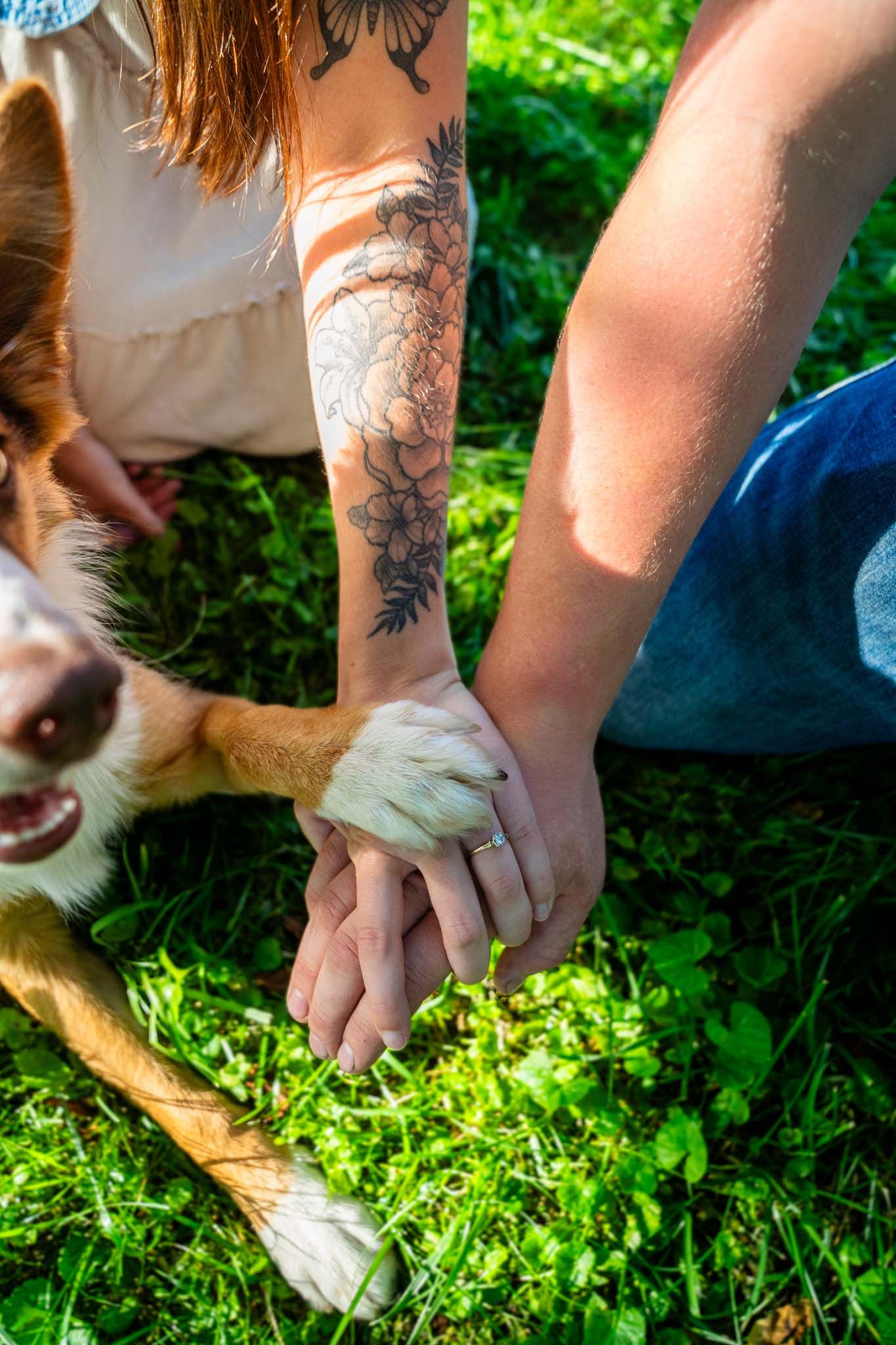 Couple with tattoos and engagement ring holding hands with dog paw on green grass in sunny park.