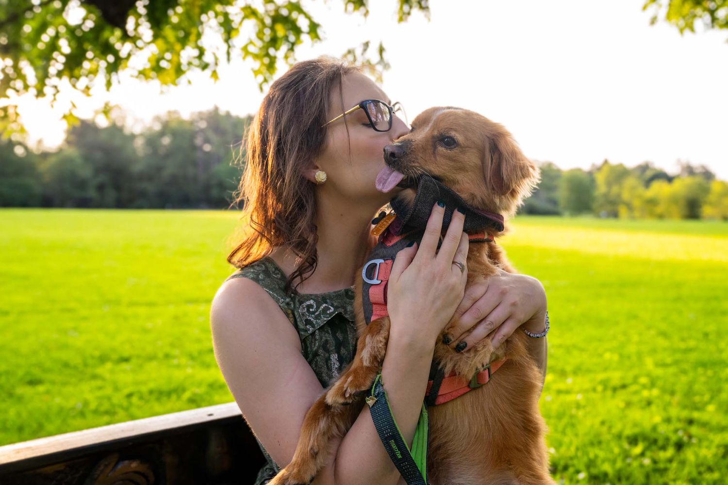 Young woman with glasses being licked by an affectionate golden retriever in a sunny park.