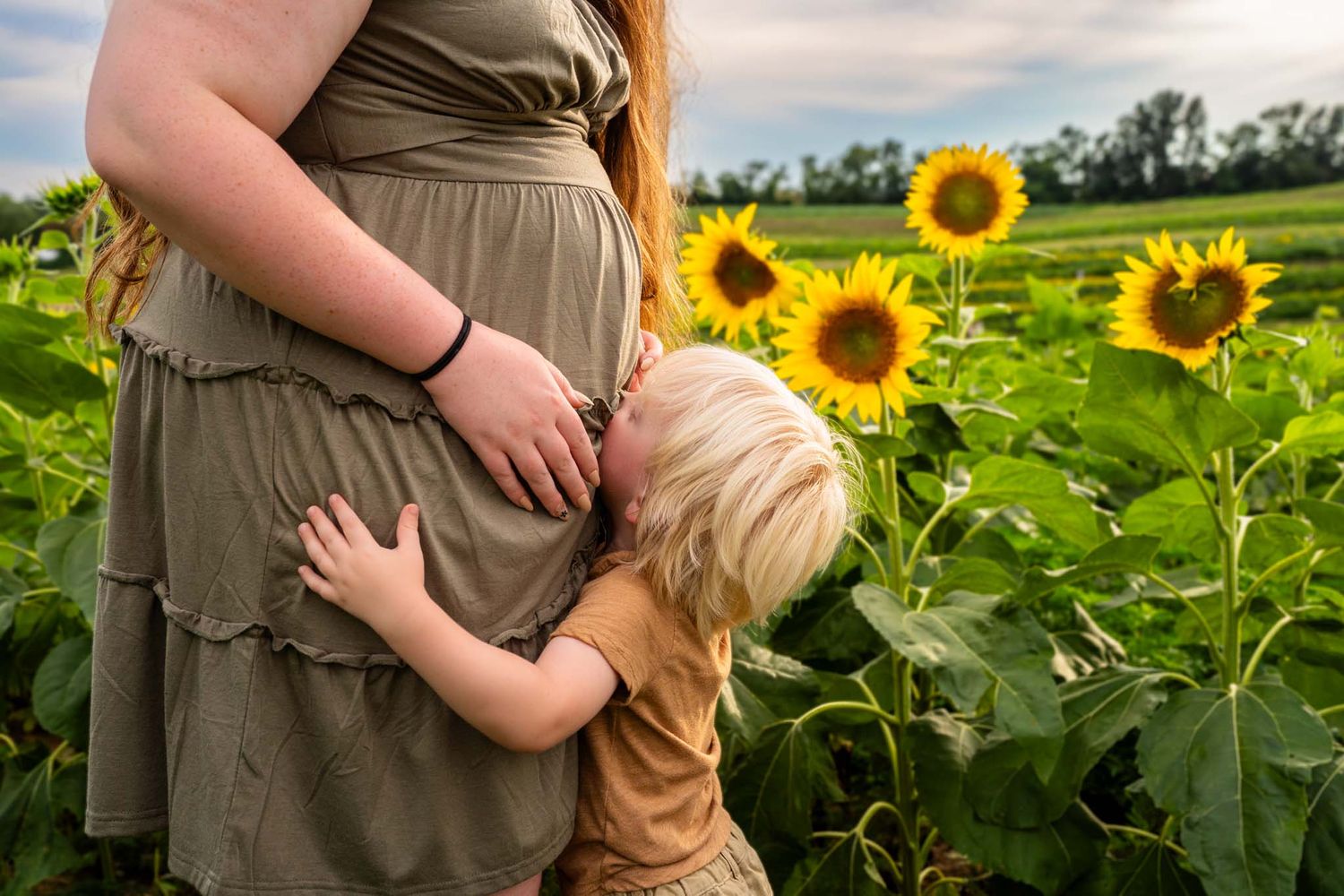 Child hugging pregnant mothers belly in sunflower field.