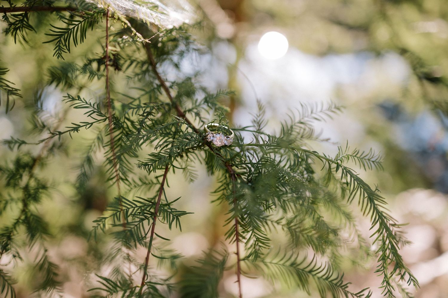 Wedding detail from a backyard wedding in Opelika, Alabama featuring a grazing table with a romantic, timeless style