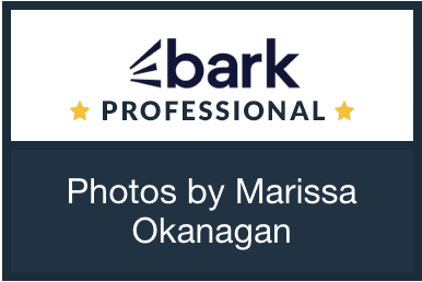 Bark Professional badge for Photos by Marissa Okanagan photography services.