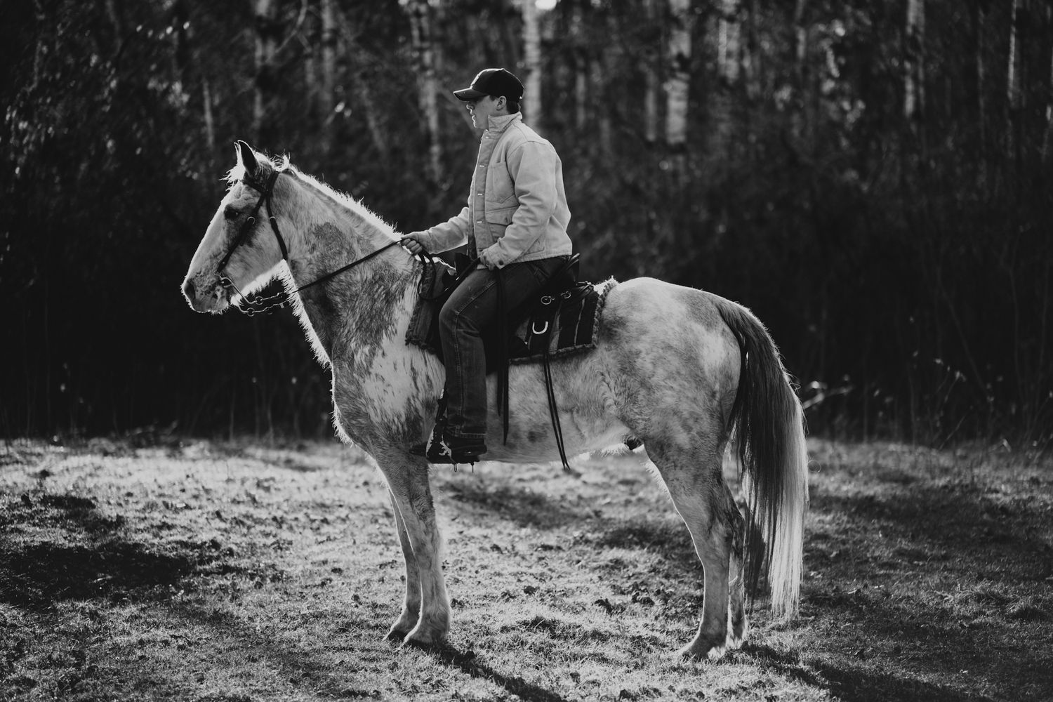 Black and white photo of a lone rider on a white horse in a forest clearing.
