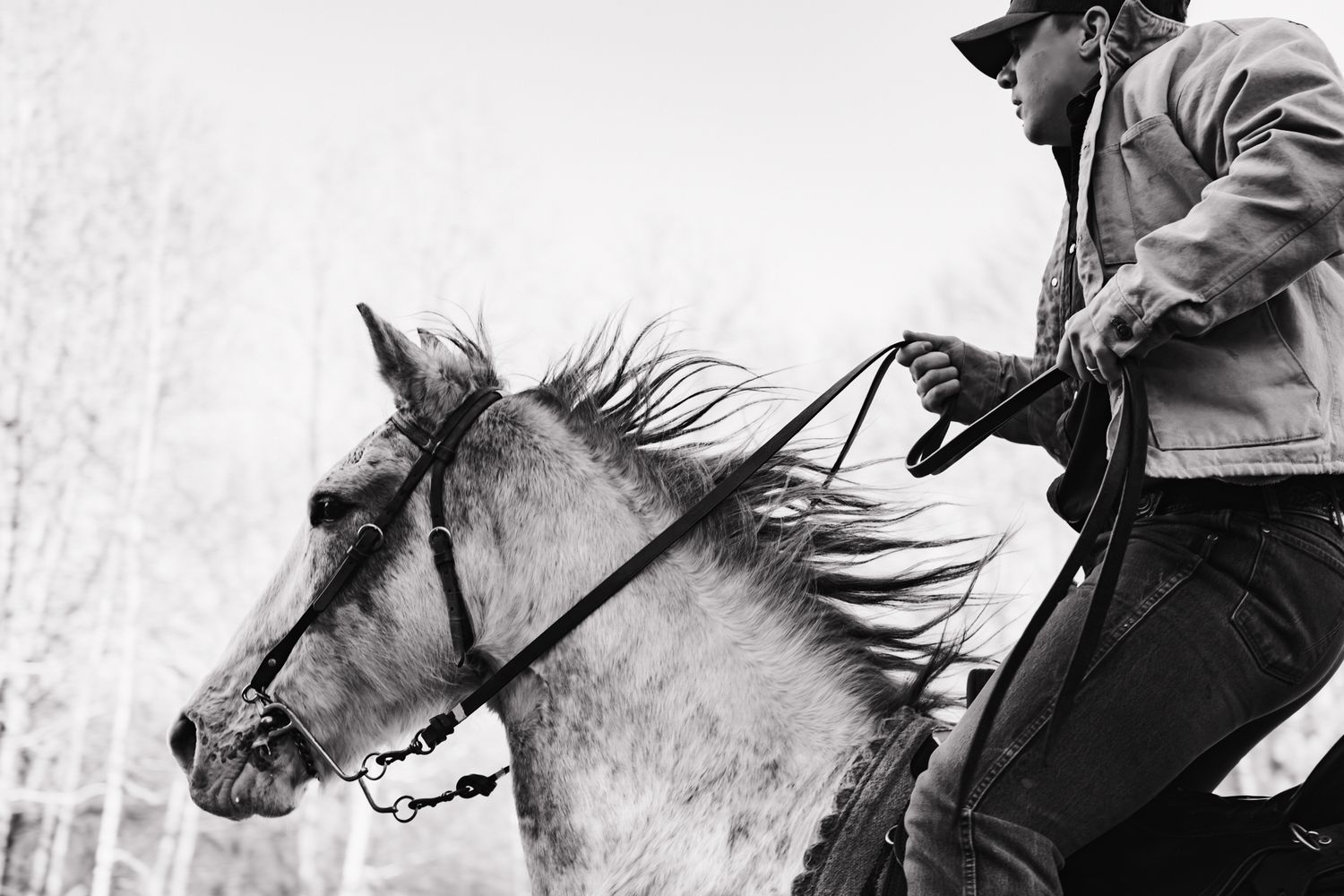 Black and white action shot of a rider on a galloping grey horse outdoors.