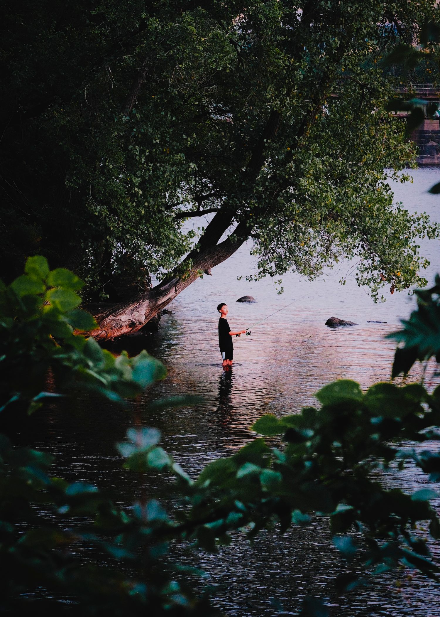 Person standing in a shallow river surrounded by lush green trees at dusk.