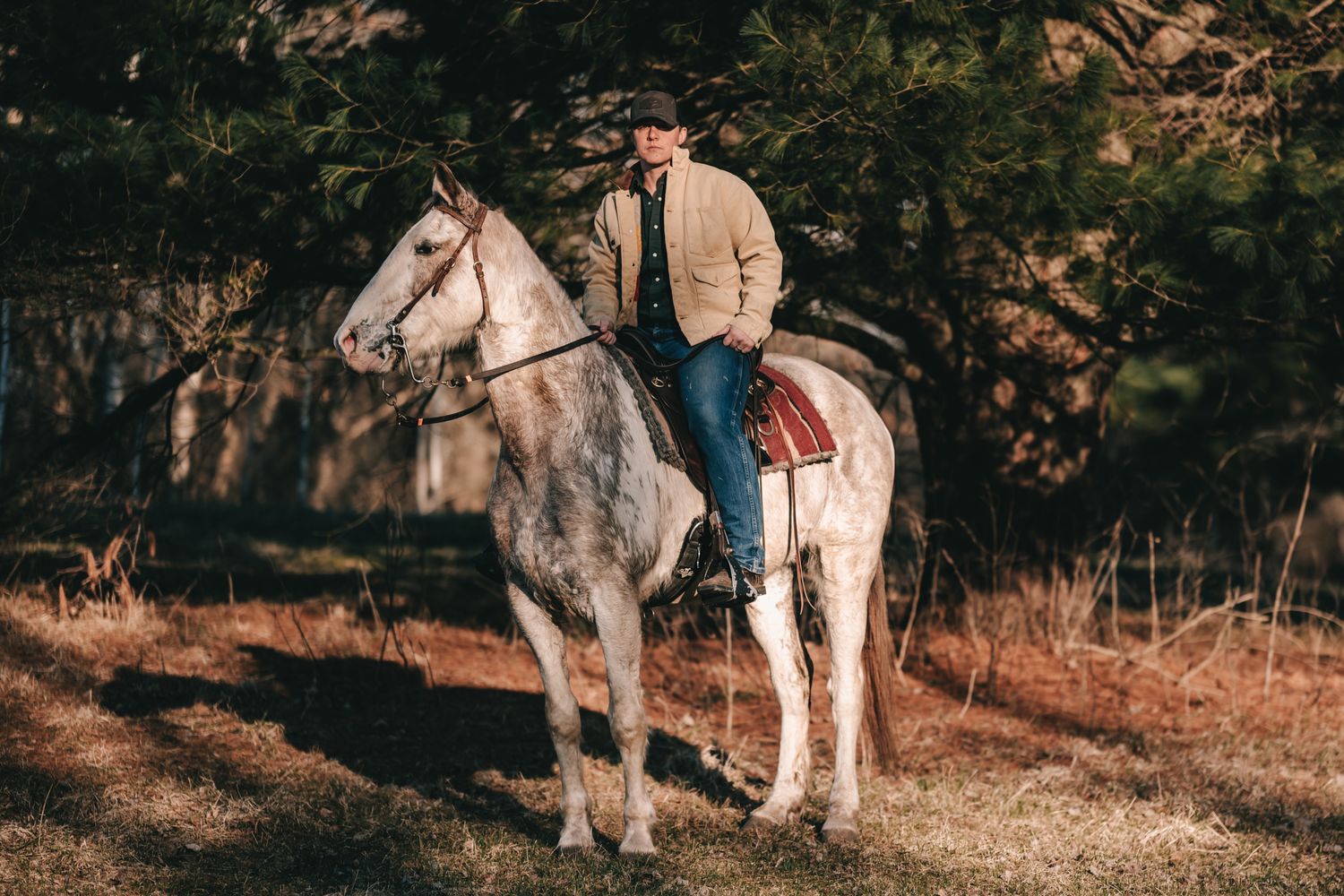 Cowboy on grey horse riding through forest in warm autumn light.