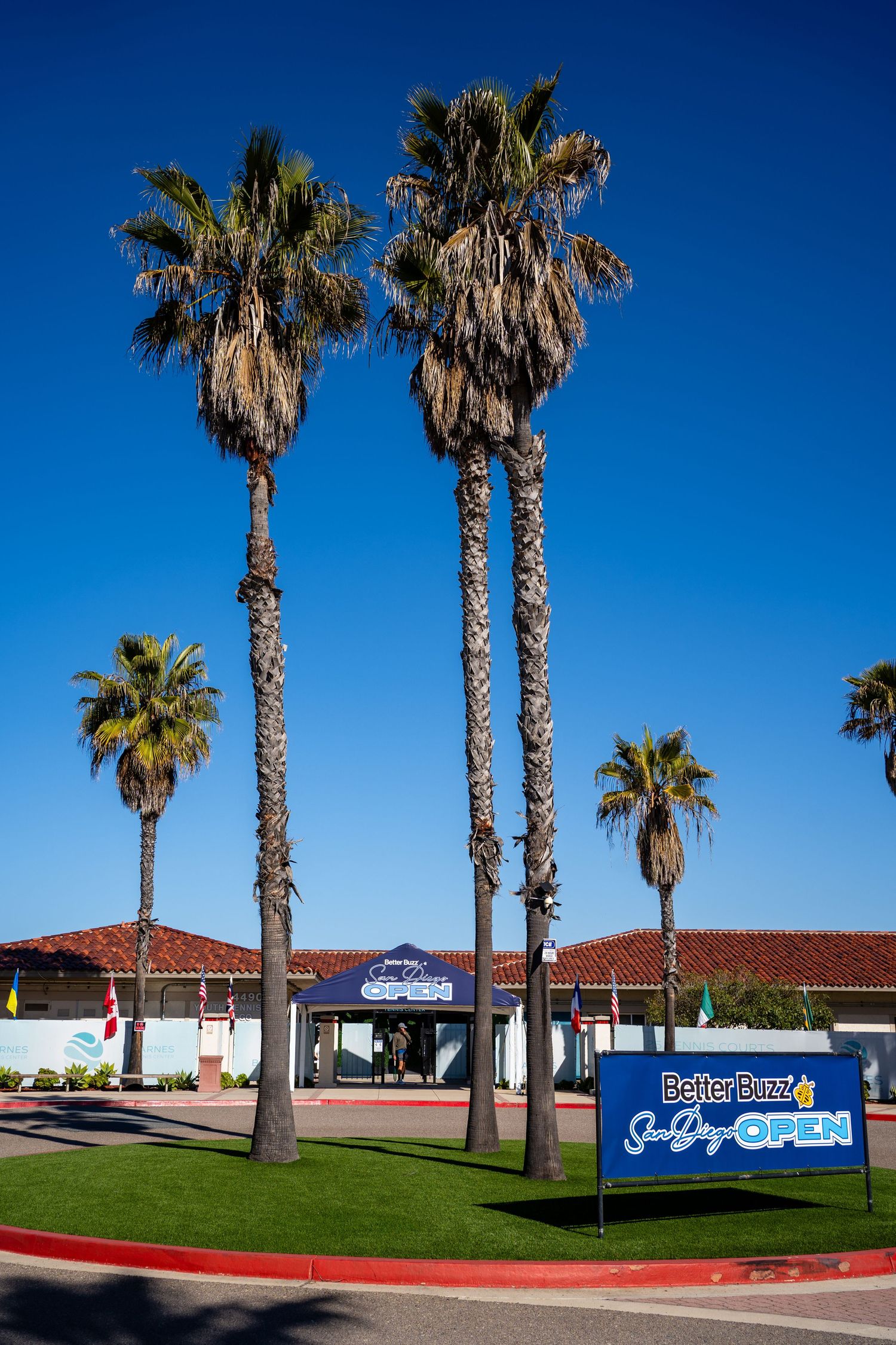 Better Buzz San Diego Open tennis tournament entrance with tall palm trees under a clear blue sky.