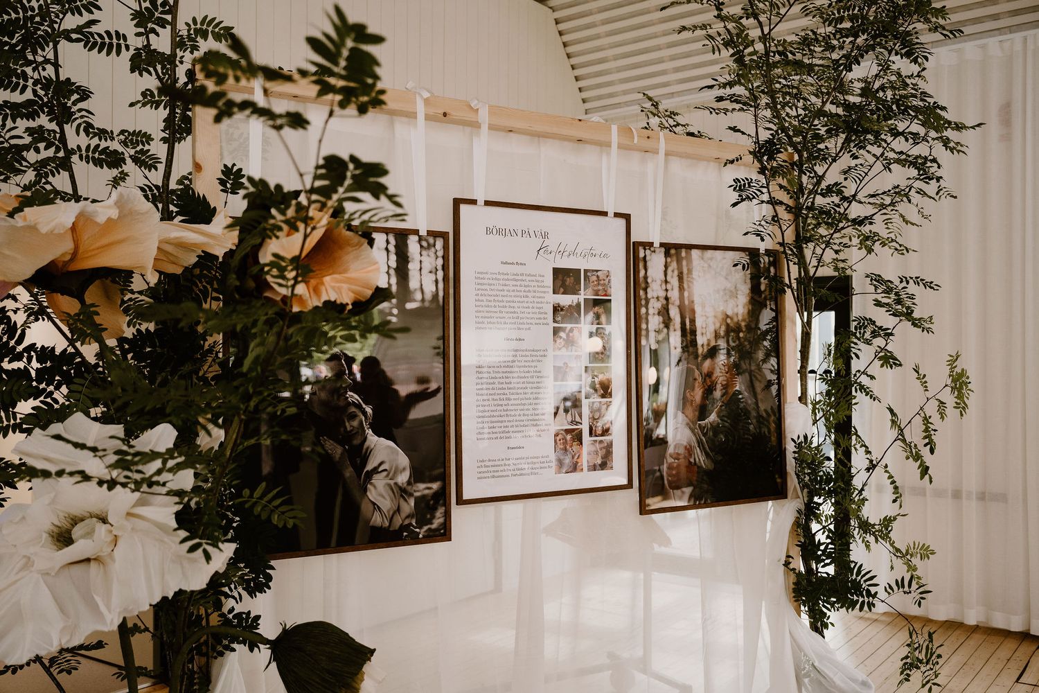 Panoramic view of a white gallery space with black and white photographs on walls and potted plants throughout the room.
