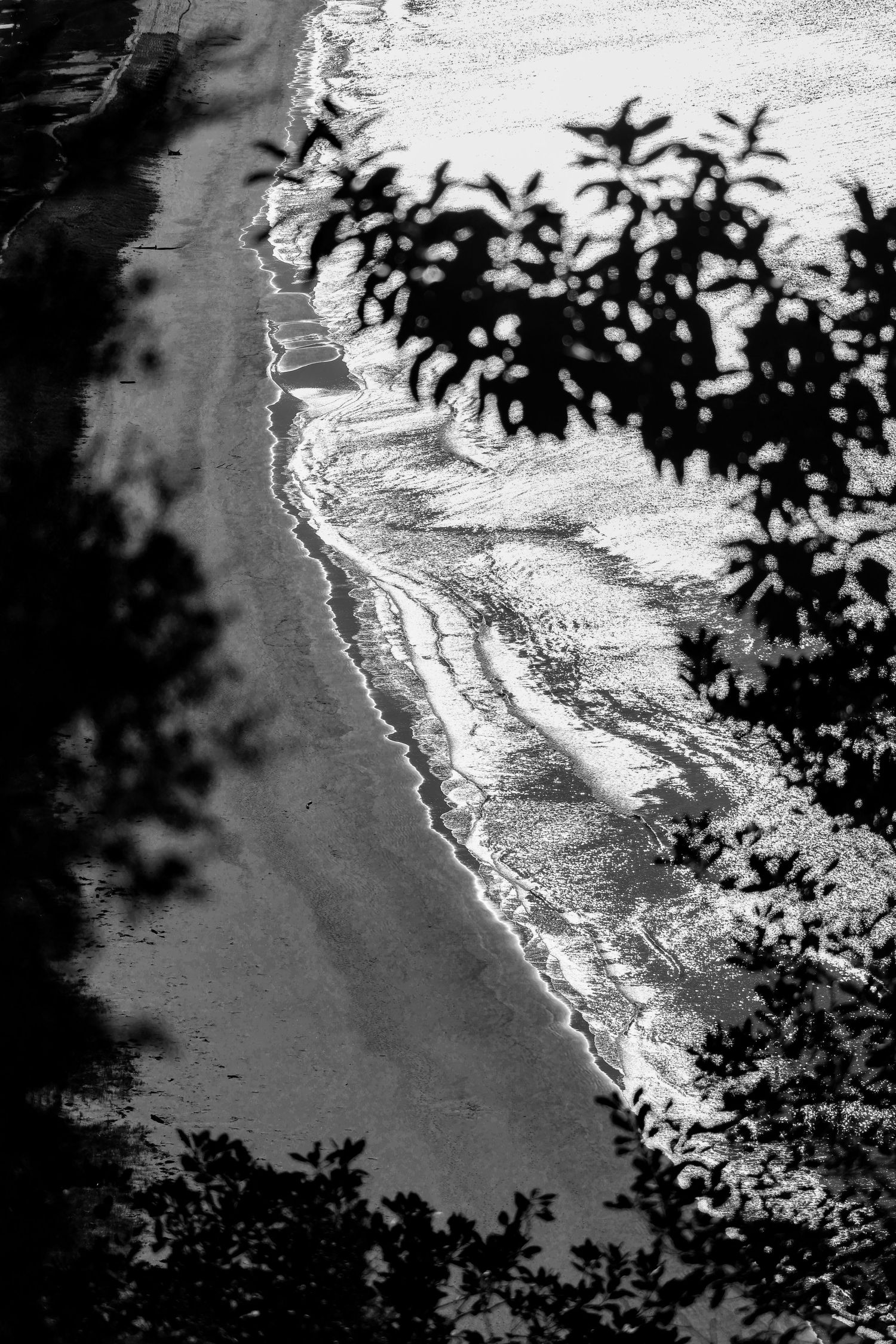 nature photography