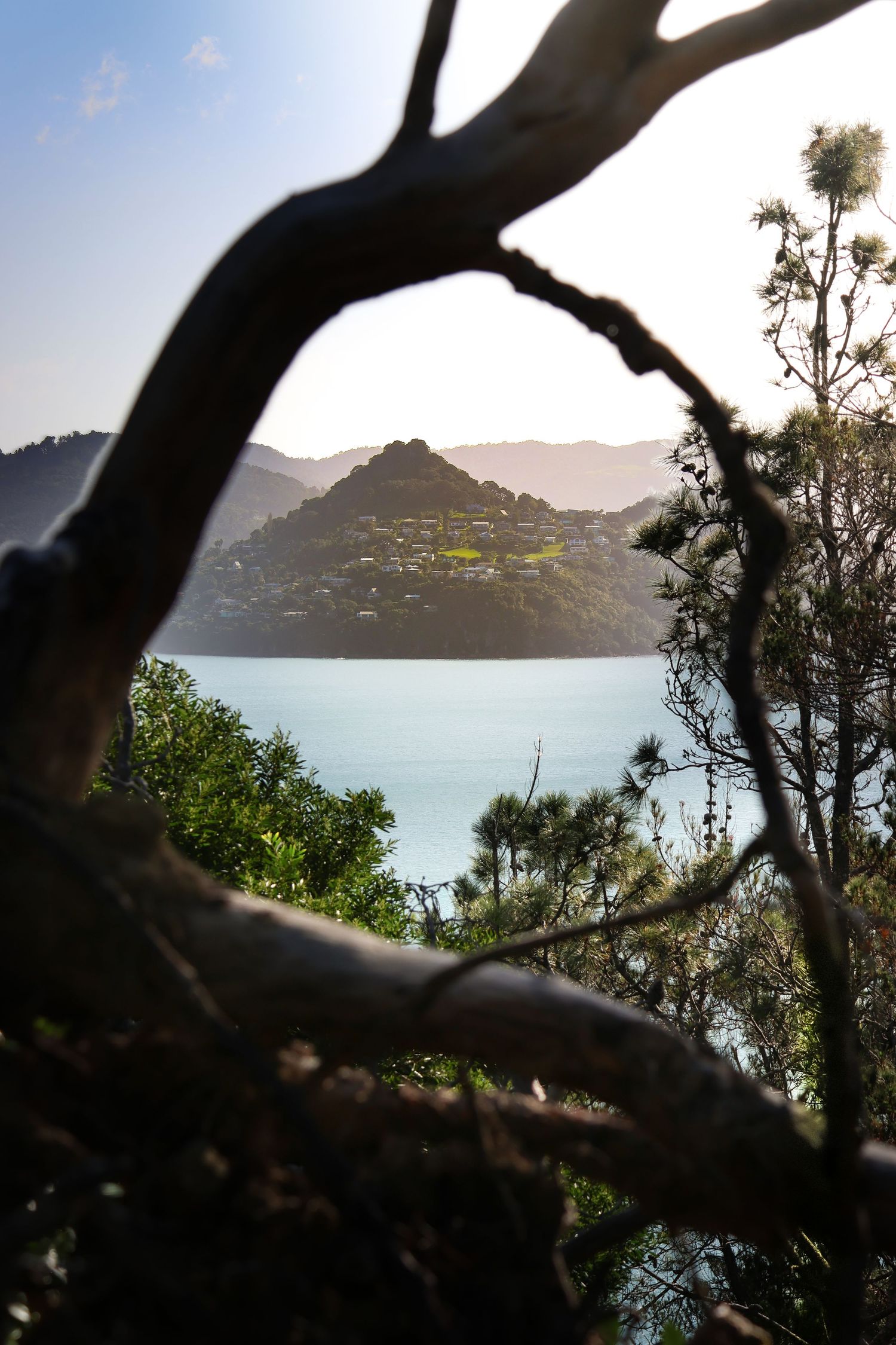 nature photography