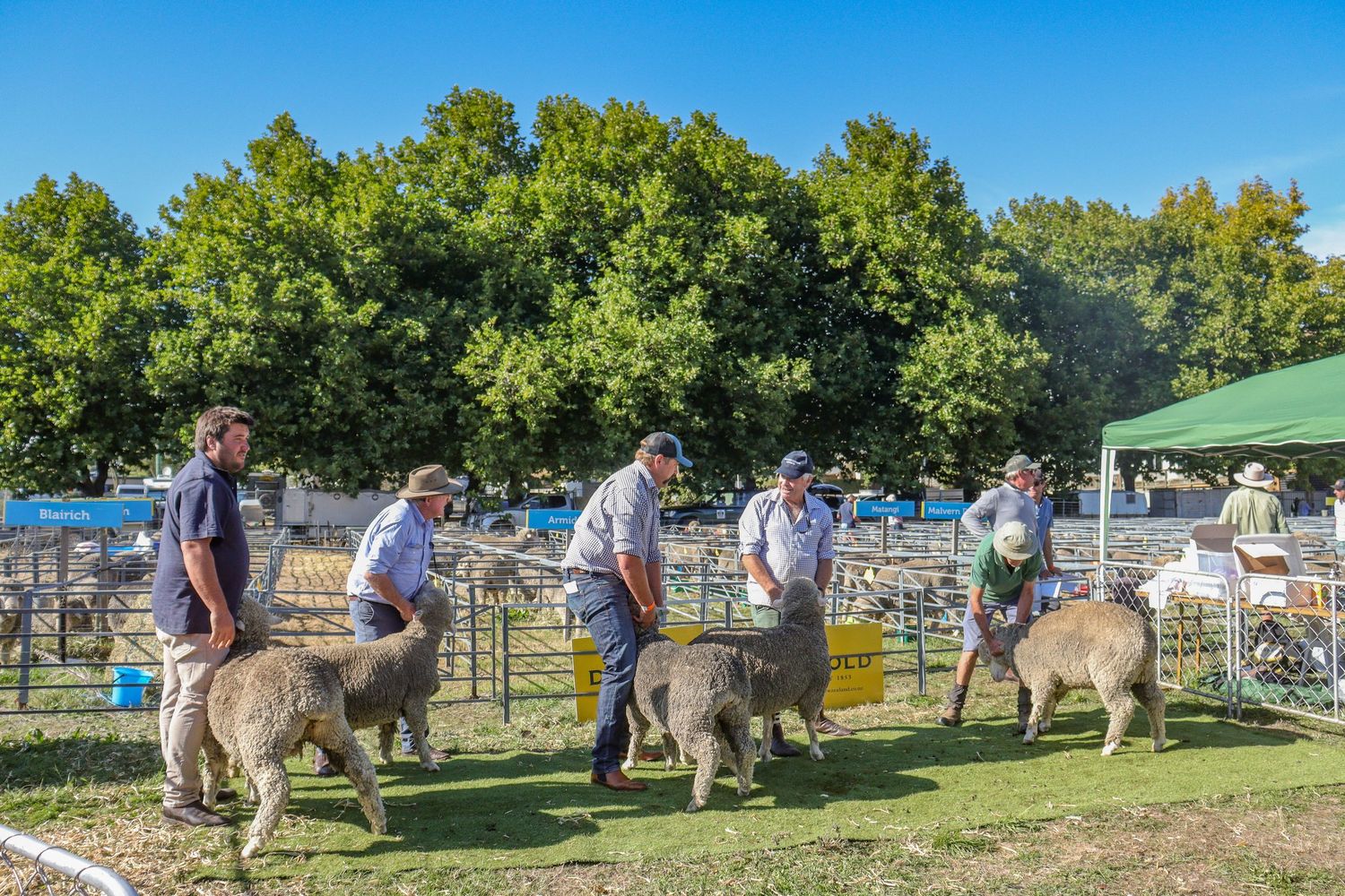 Wanaka A and P show