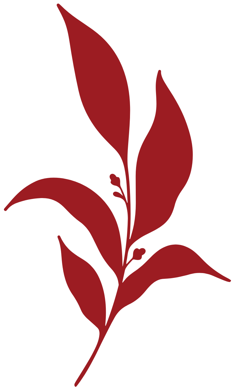 flower design