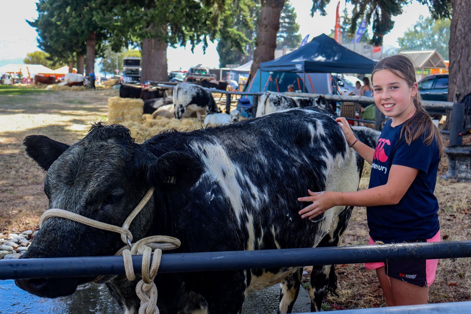 Wanaka A and P show