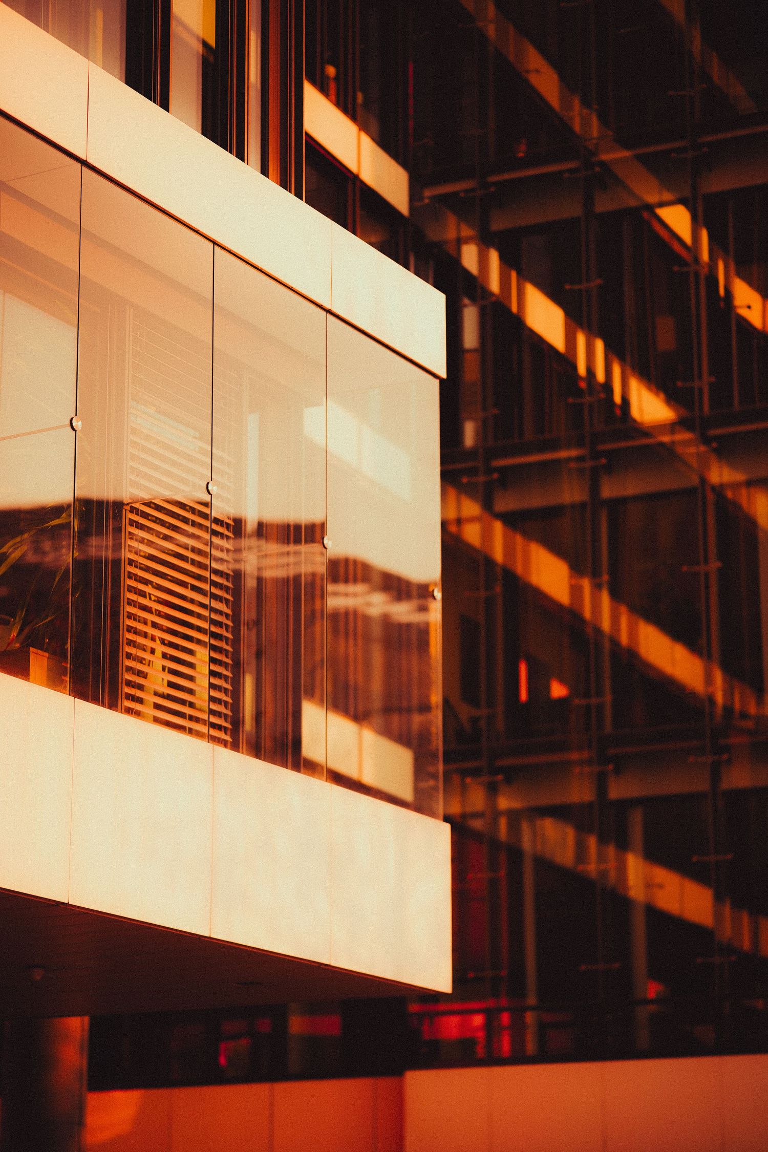 Modern glass office building facade reflecting warm golden sunset light with geometric architectural details.