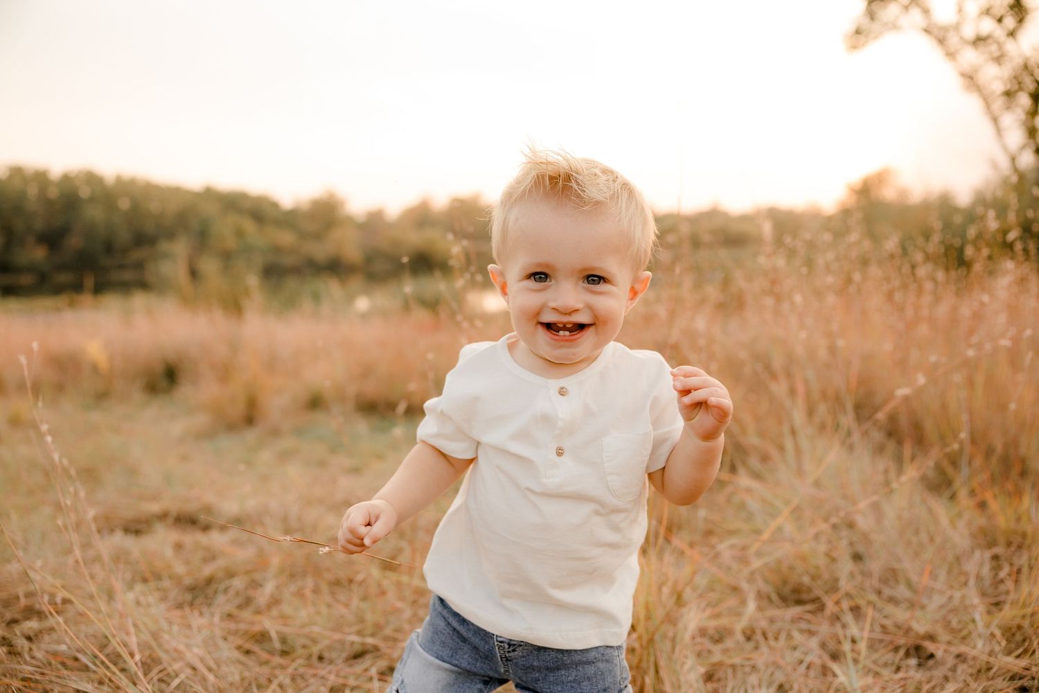 A running toddler in a white shirt and jeans against a golden sunset field of tall grass.