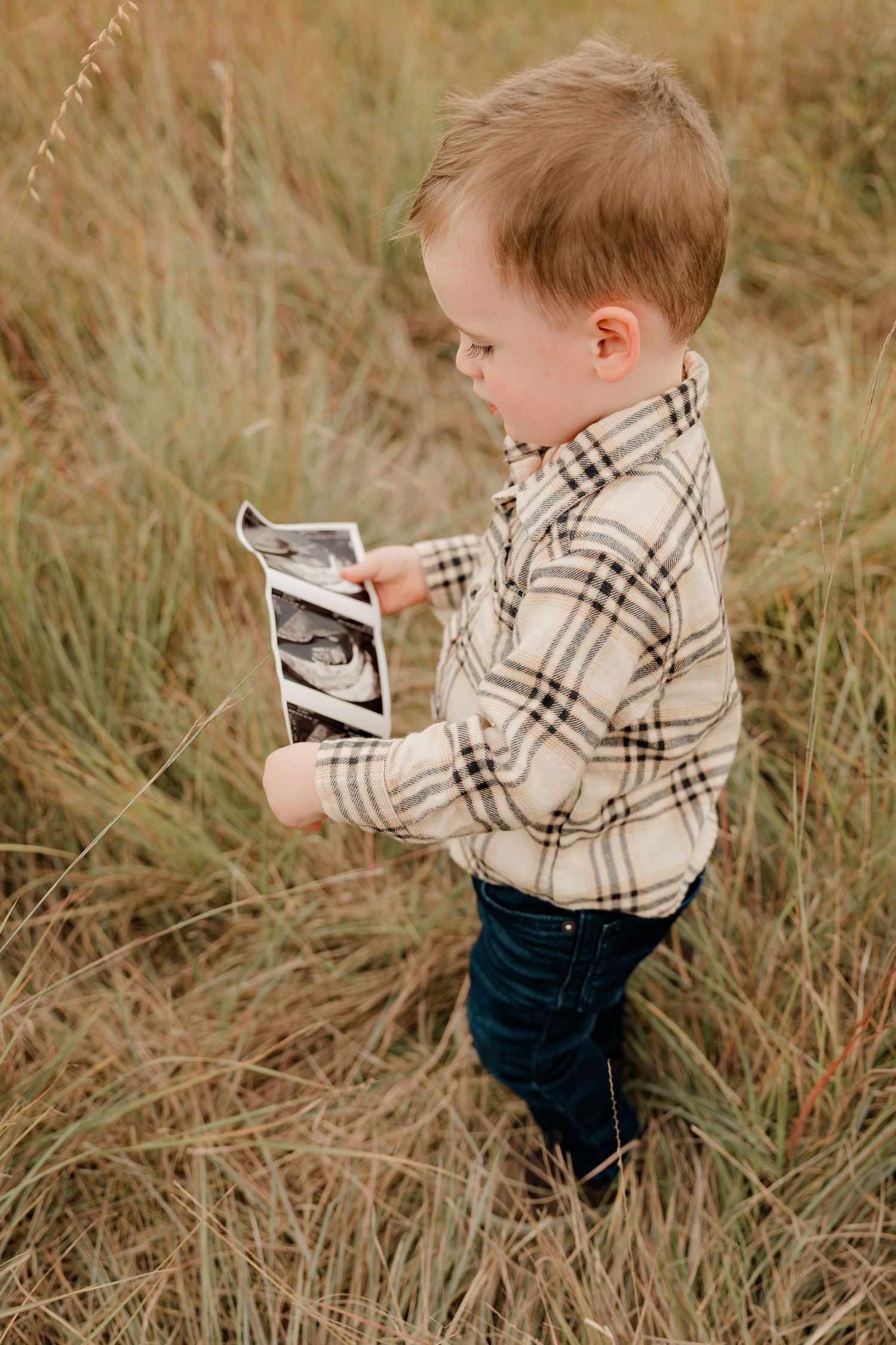 Small child in plaid shirt and jeans looks at ultrasound photo while standing in tall autumn grass.