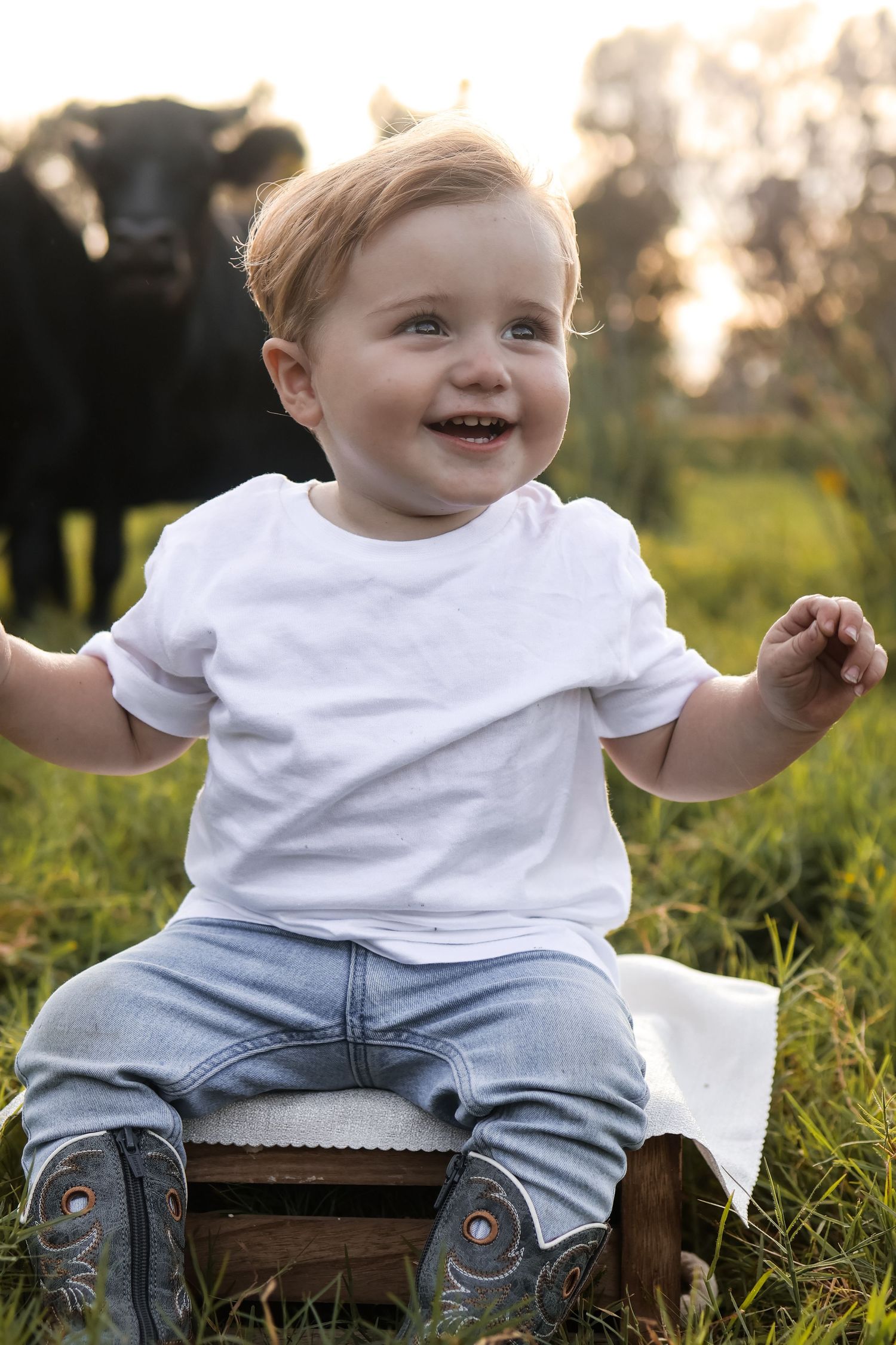 Happy toddler sitting on wooden crate in white shirt and jeans with cow in background.