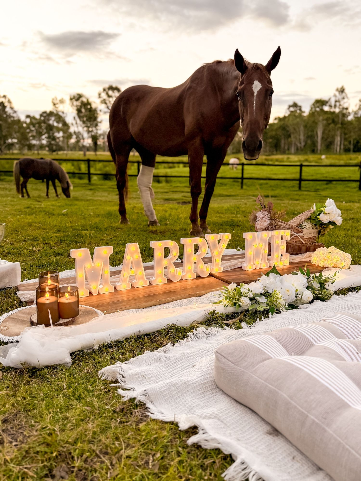 A romantic picnic setup with 'MARRY ME' letters and a brown horse standing in a green field at sunset.