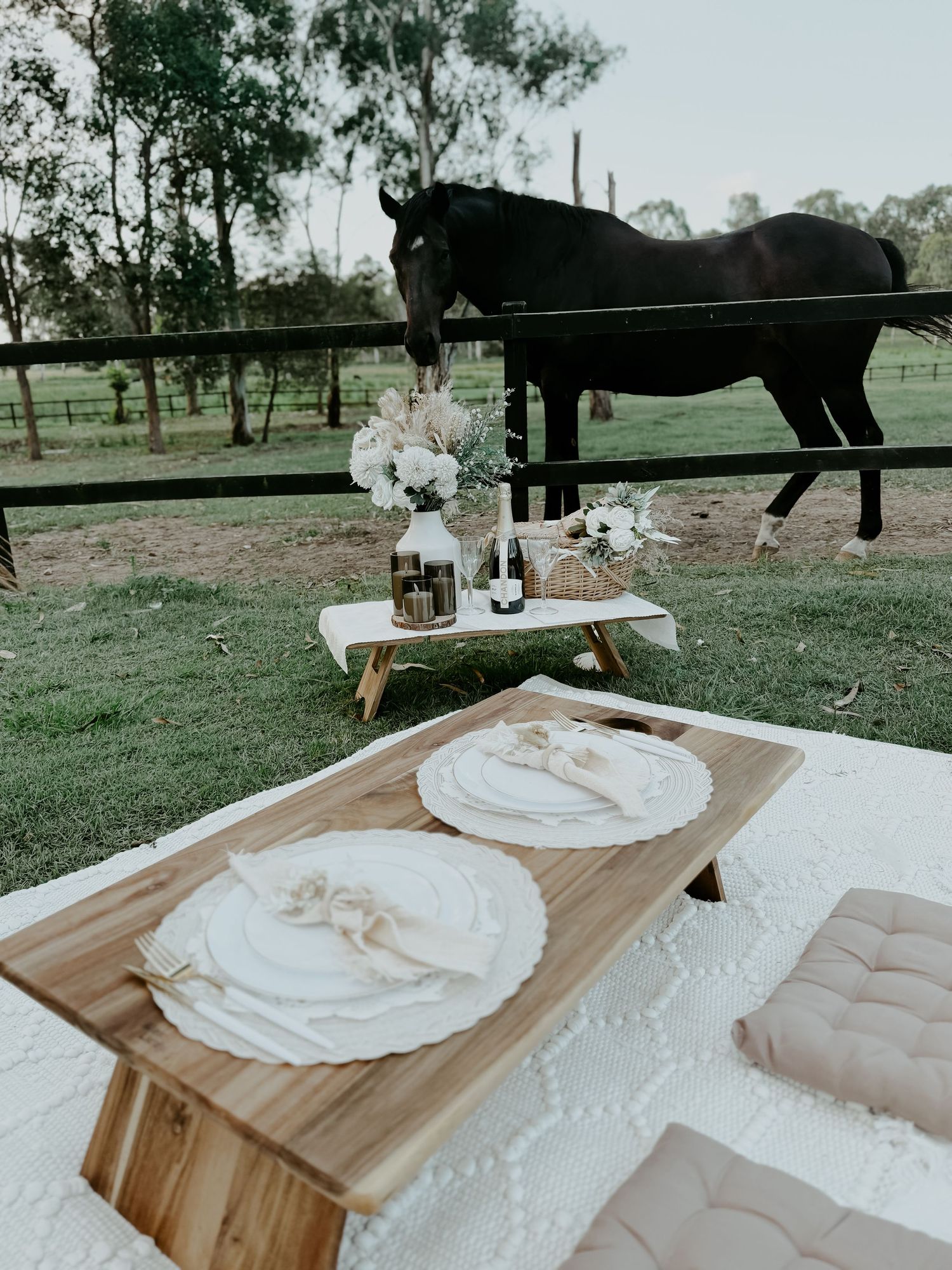 A rustic outdoor picnic setup with tortillas on a wooden board and a black horse grazing in the background.