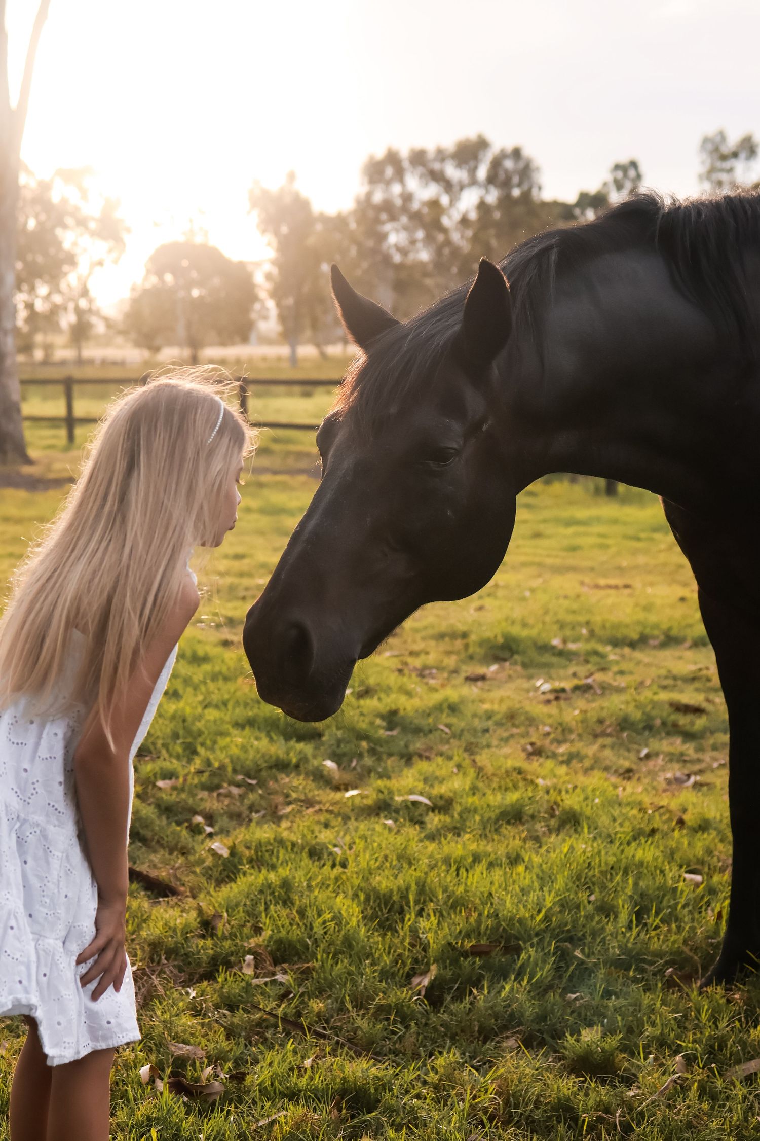 Tender moment between girl in white dress and black horse at sunset.