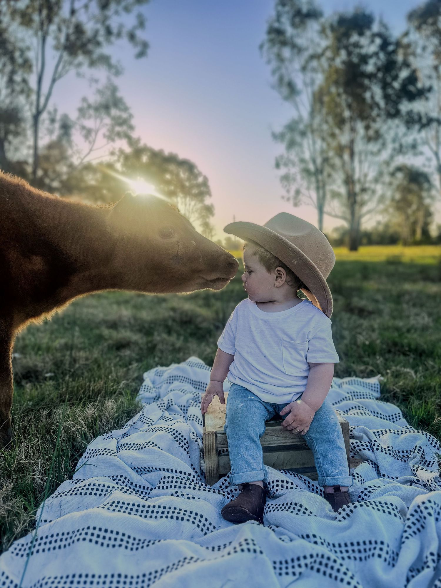 A toddler in a cowboy hat sits on a blanket in a field at sunset while being greeted by a horse.