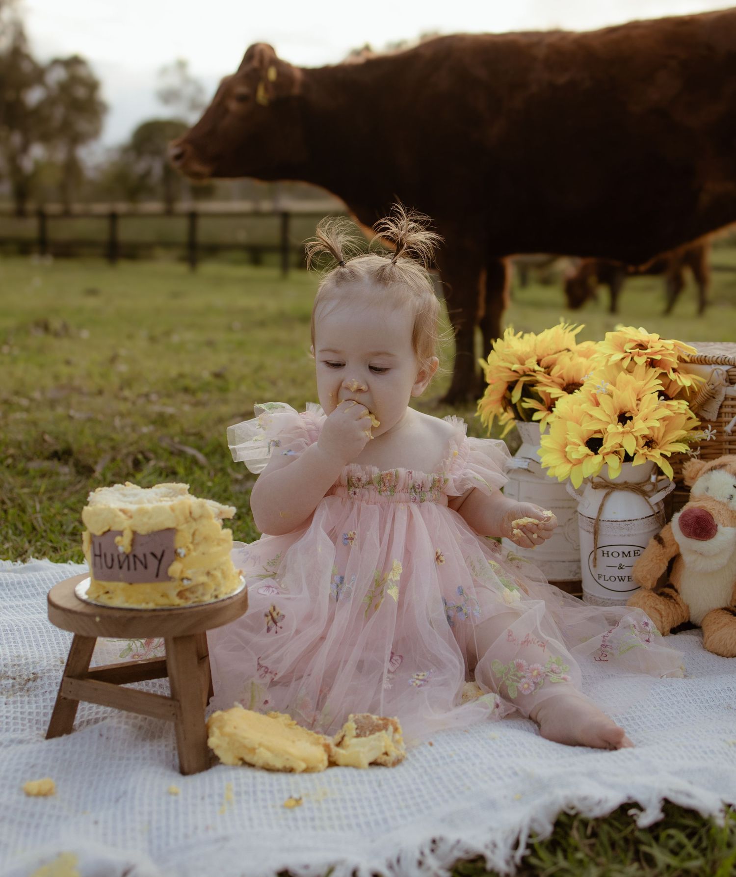 Outdoor cake smash photoshoot setup with pink dress, yellow cake, sunflowers and a cow grazing in background.
