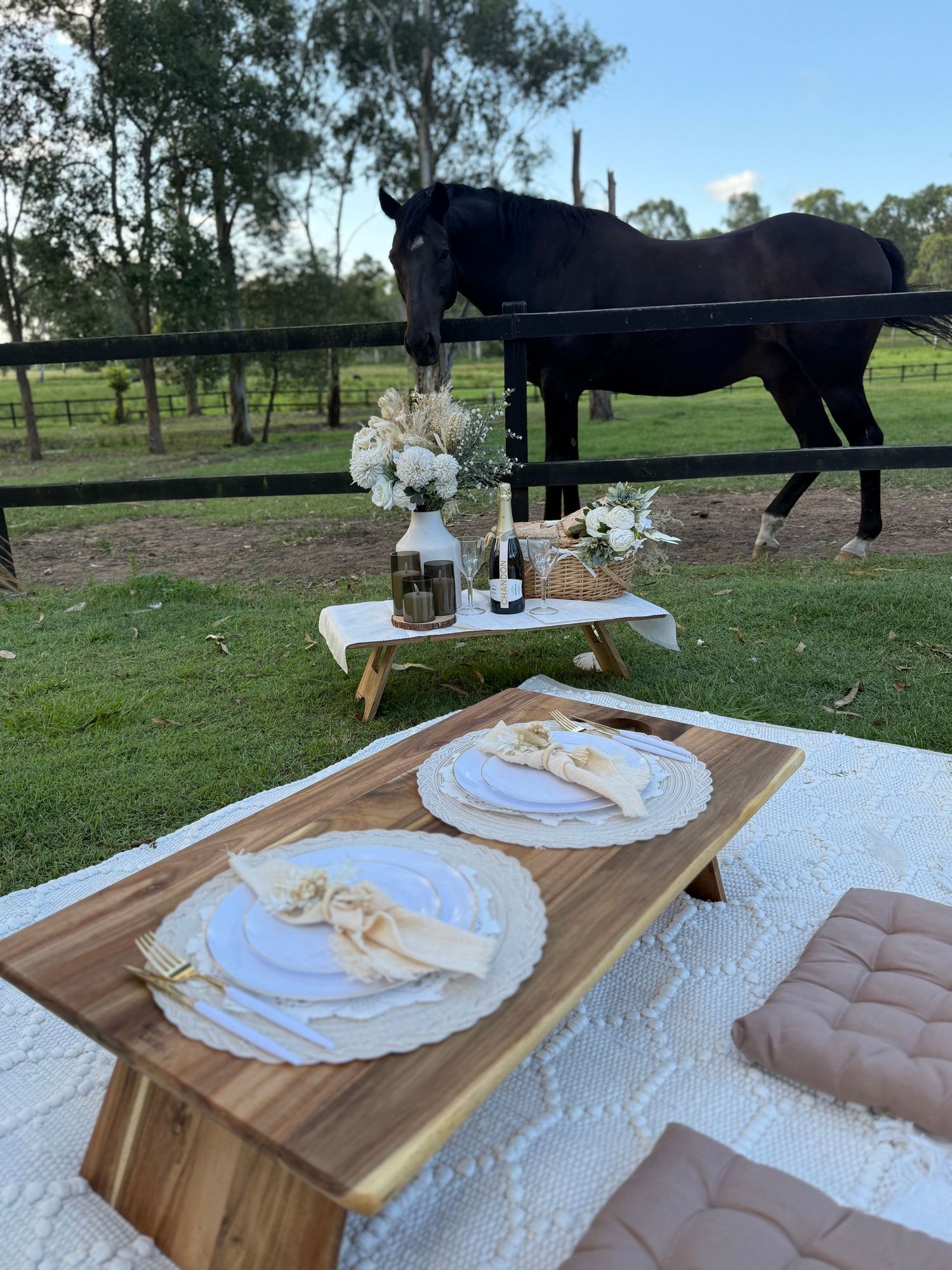 A rustic picnic setup with wooden serving boards and white flowers is arranged on blankets with a black horse grazing in background.