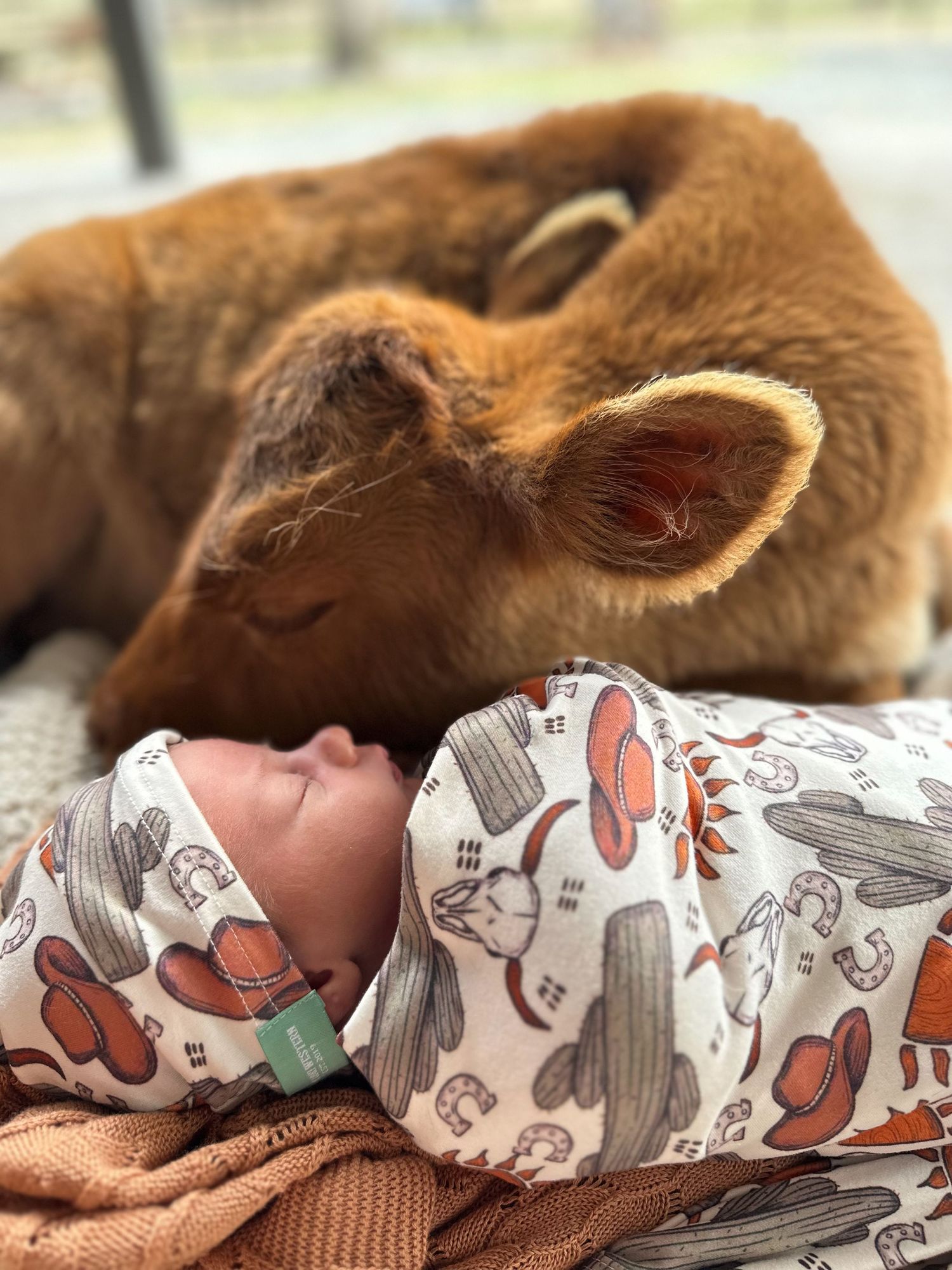 Baby in western cowboy print sleepwear rests beside a brown and white calf on a soft blanket.