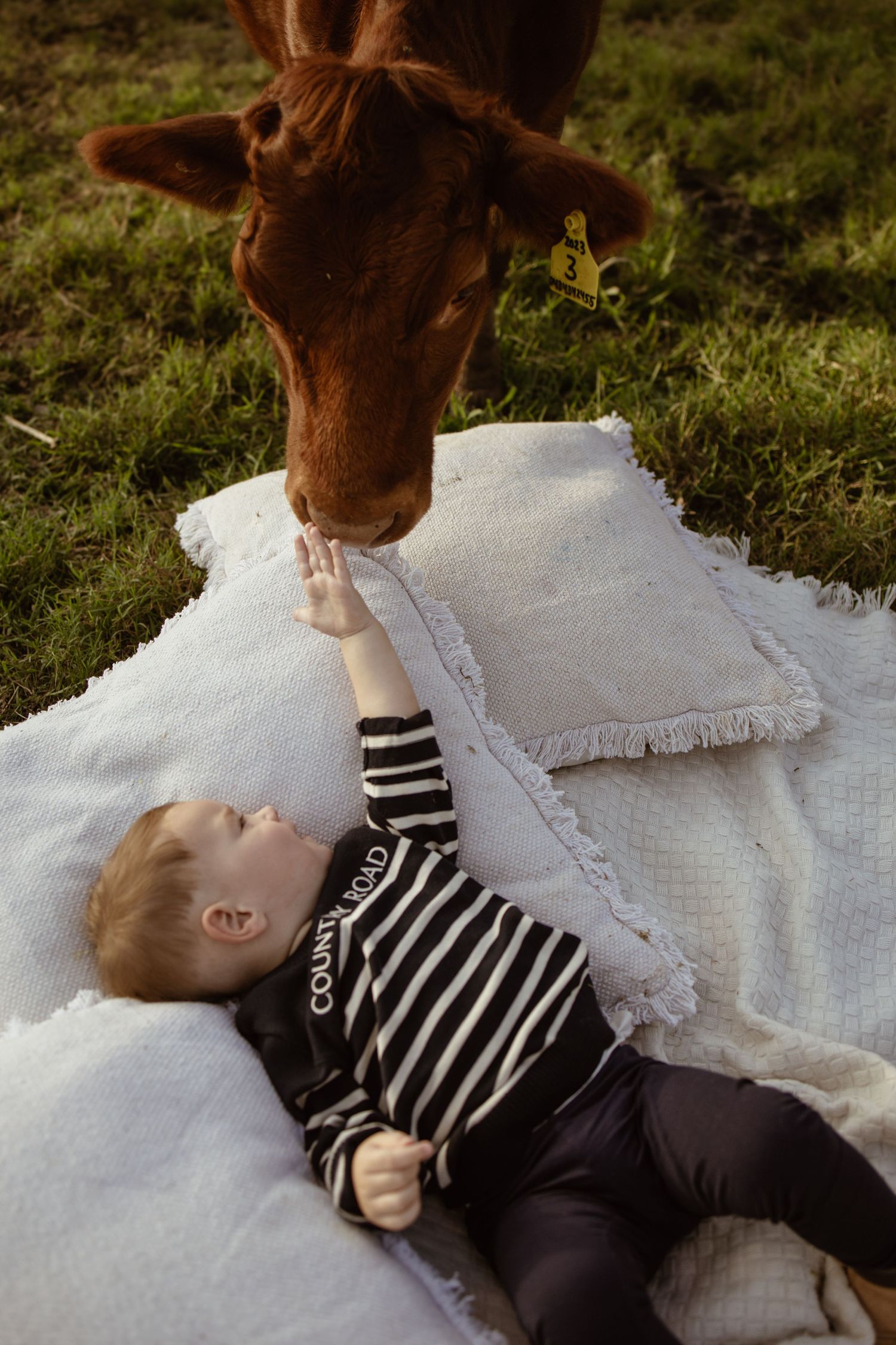 A young child in a striped shirt lies on a white blanket as a curious brown horse leans down to investigate.