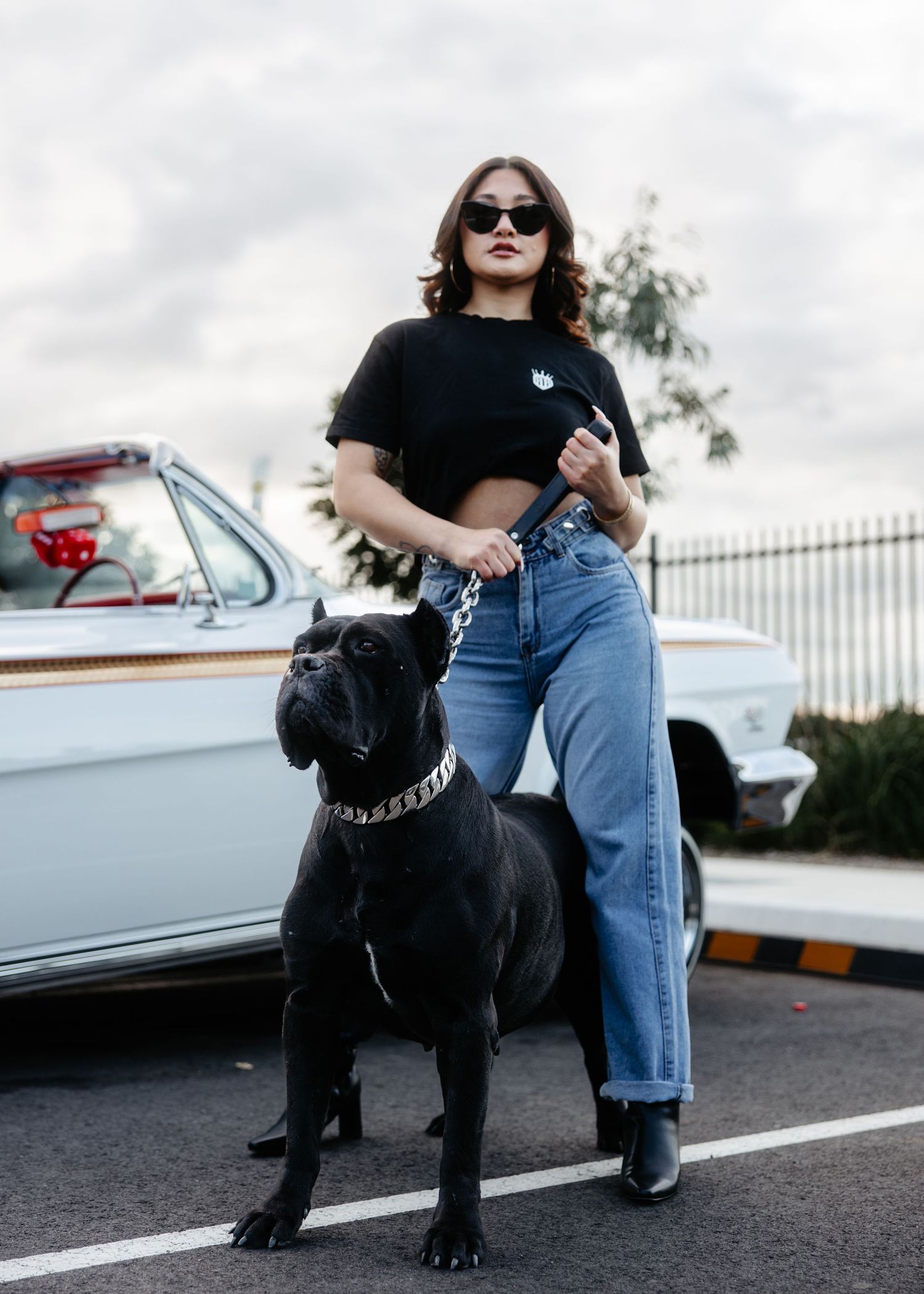 Woman standing proudly with her Cane Corso on road in front of white classic car.