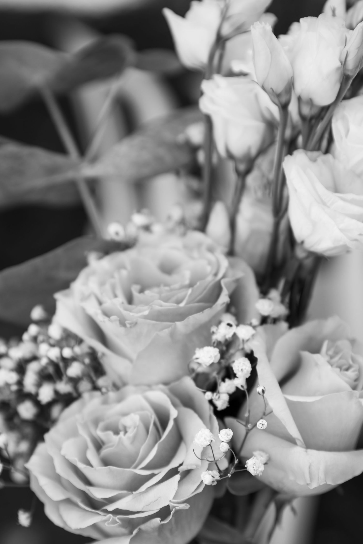 Black and white close-up of a bouquet featuring roses and baby's breath flowers.