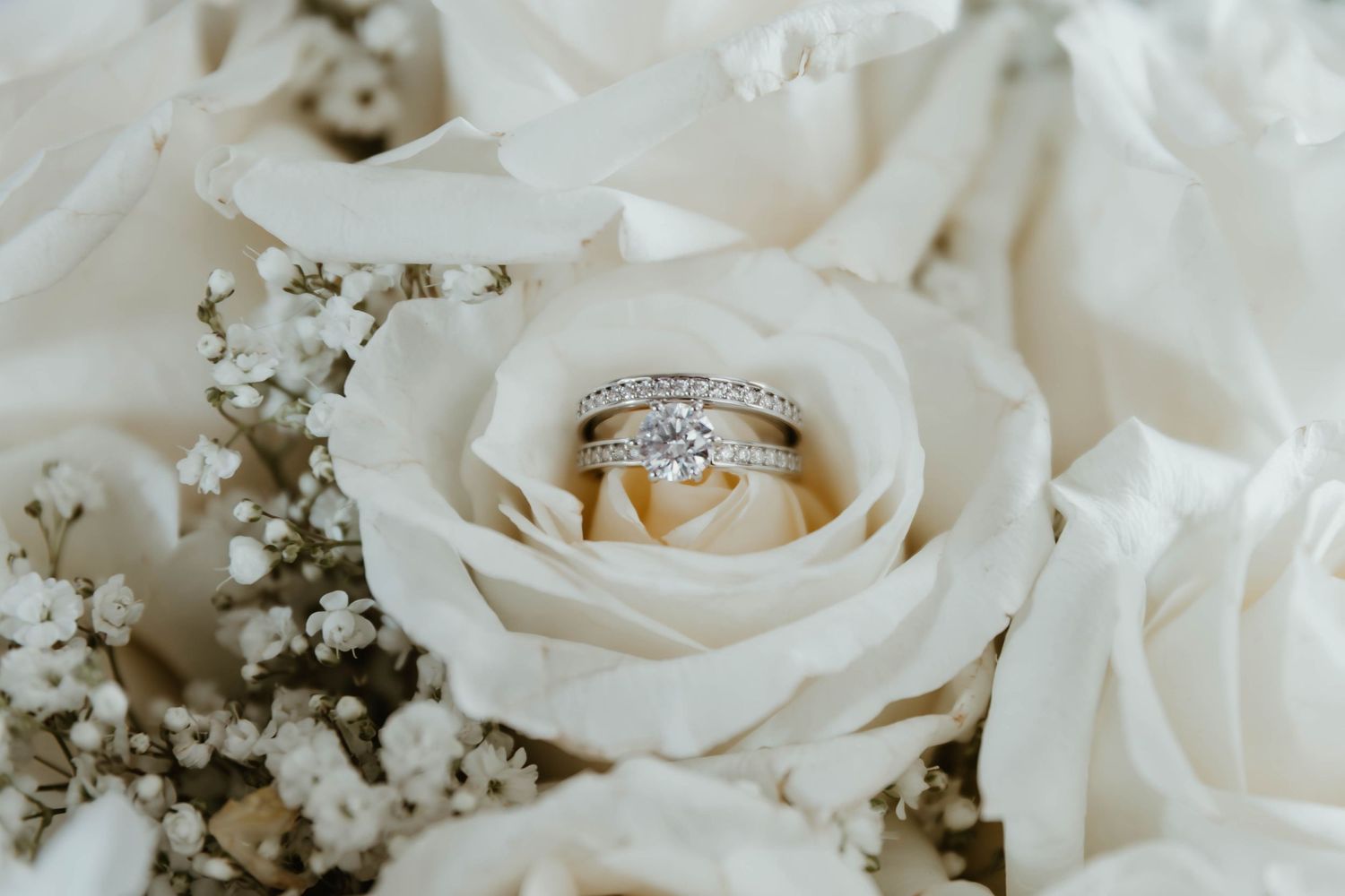 Diamond engagement ring and wedding band nestled in the center of a white rose with baby's breath accents.