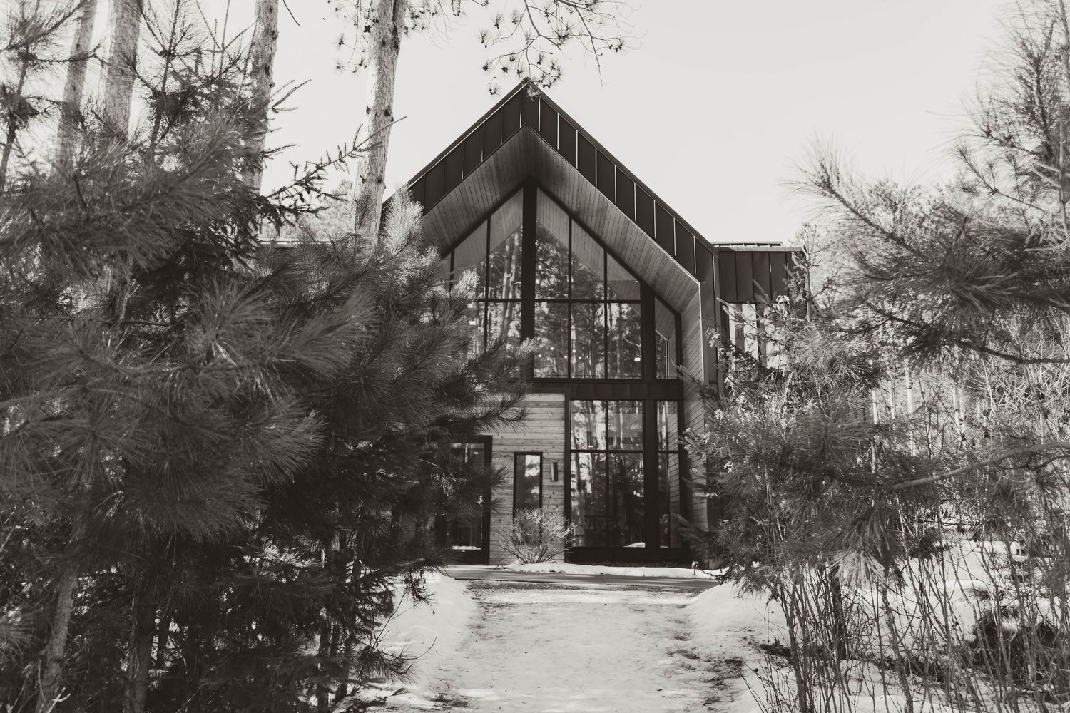 Snow-covered cabin homes nestled among winter trees in a peaceful forest setting.