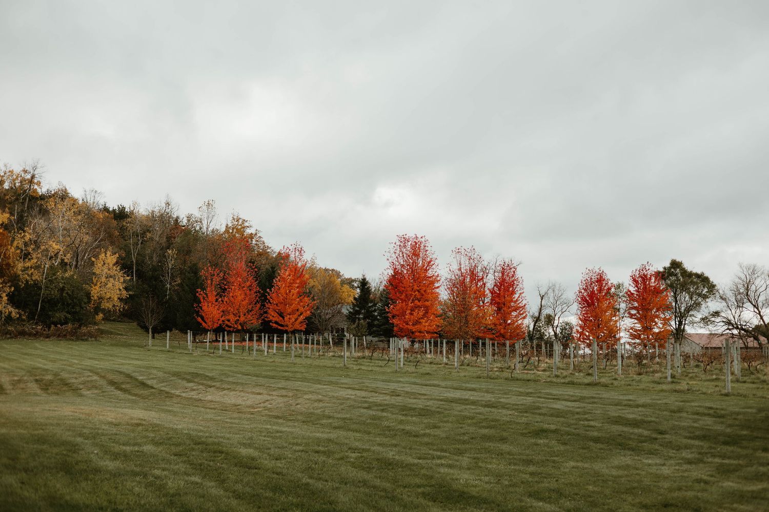 A panoramic view of a golf course with vibrant autumn trees and cloudy skies in the background.