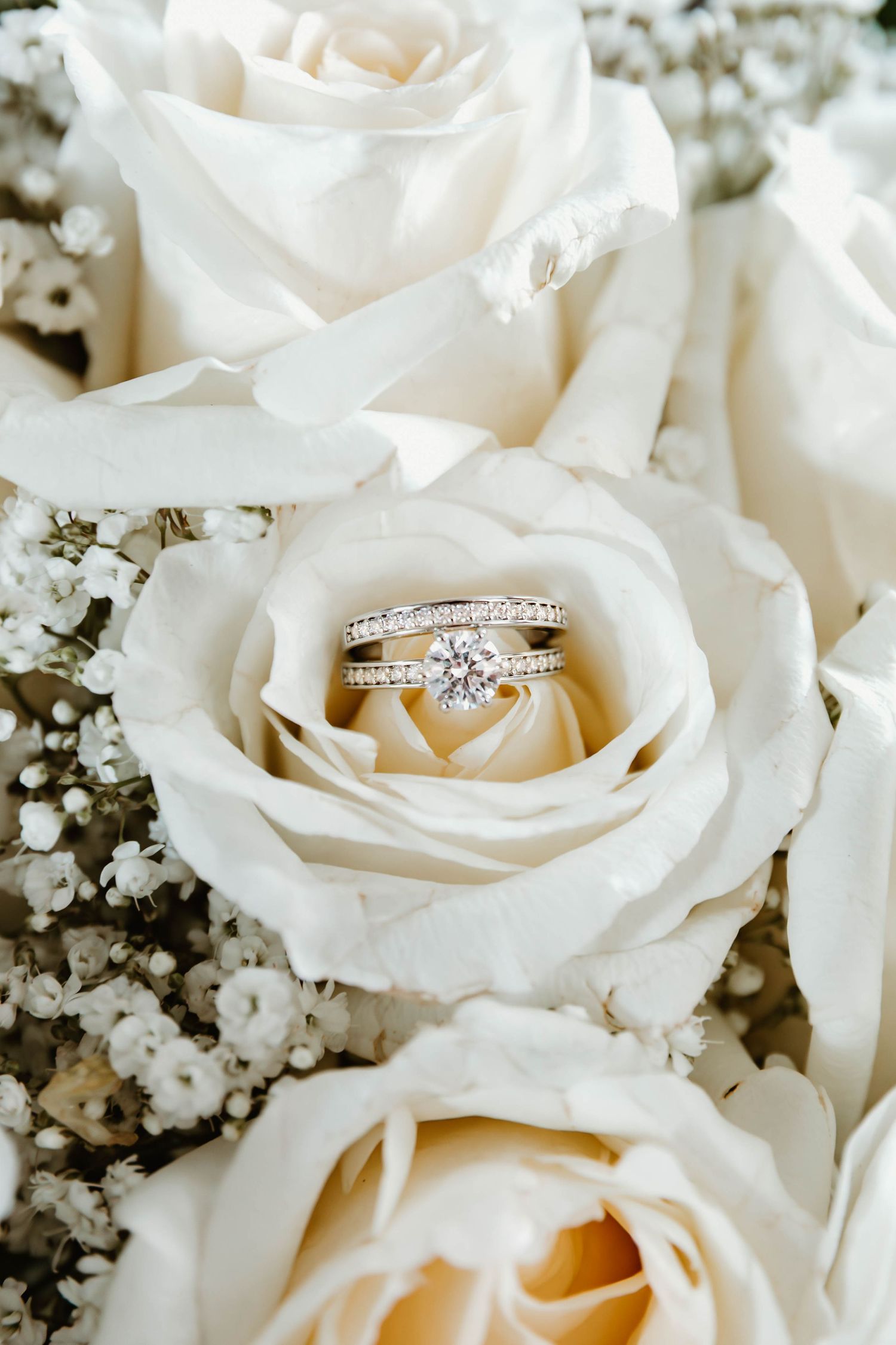 White roses with diamond wedding rings nestled in their petals, surrounded by delicate baby's breath flowers.