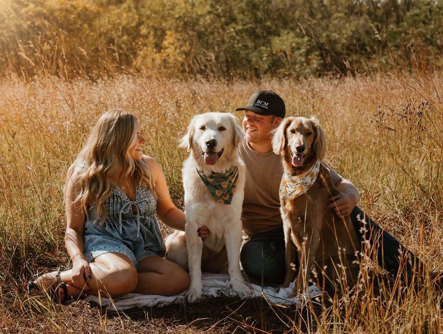 Family sitting in golden field with two dogs during sunset.