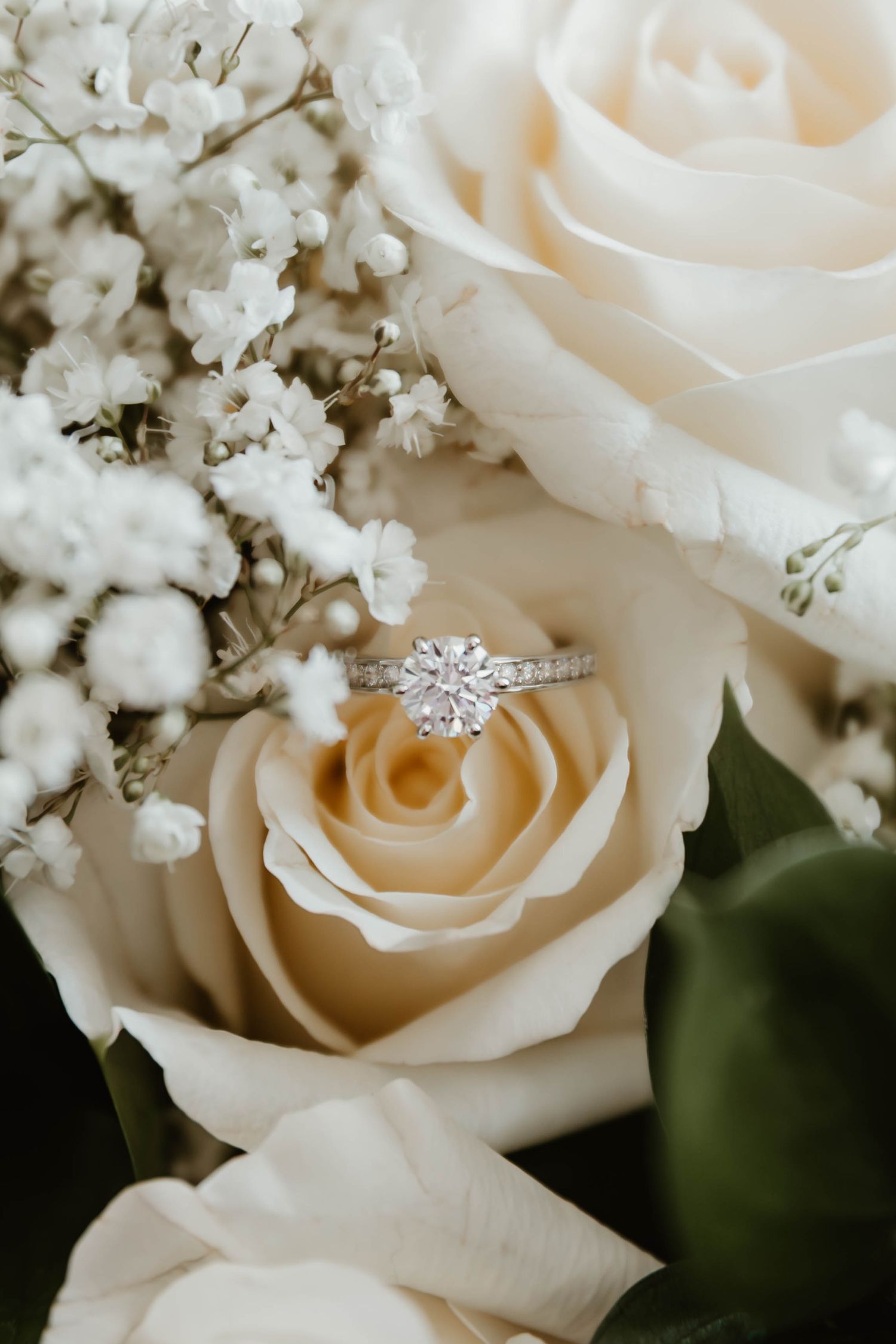 A sparkling diamond engagement ring nestled among soft cream roses and delicate baby's breath flowers.
