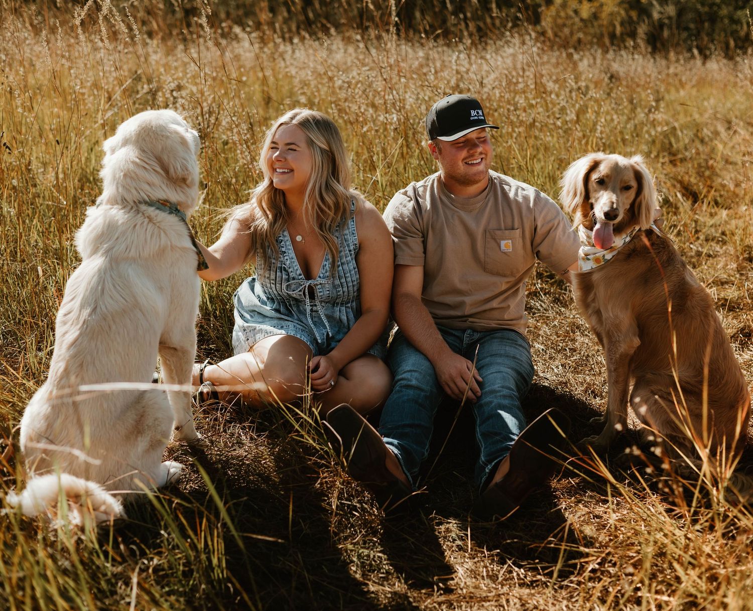 A couple sits in a golden field with their two dogs during a warm sunset photoshoot.