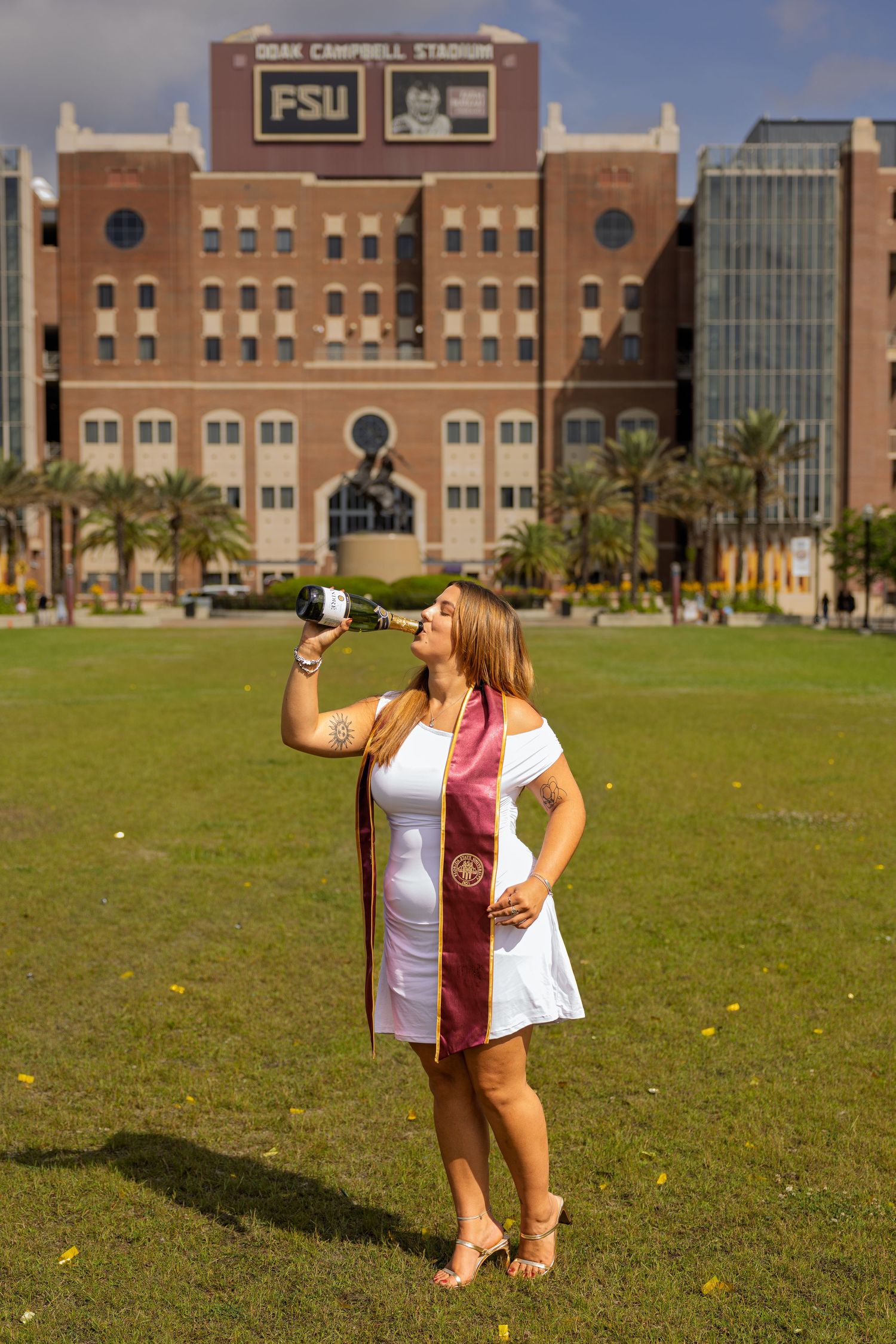 Campus view of Florida State University with brick buildings and green lawn in the foreground.
