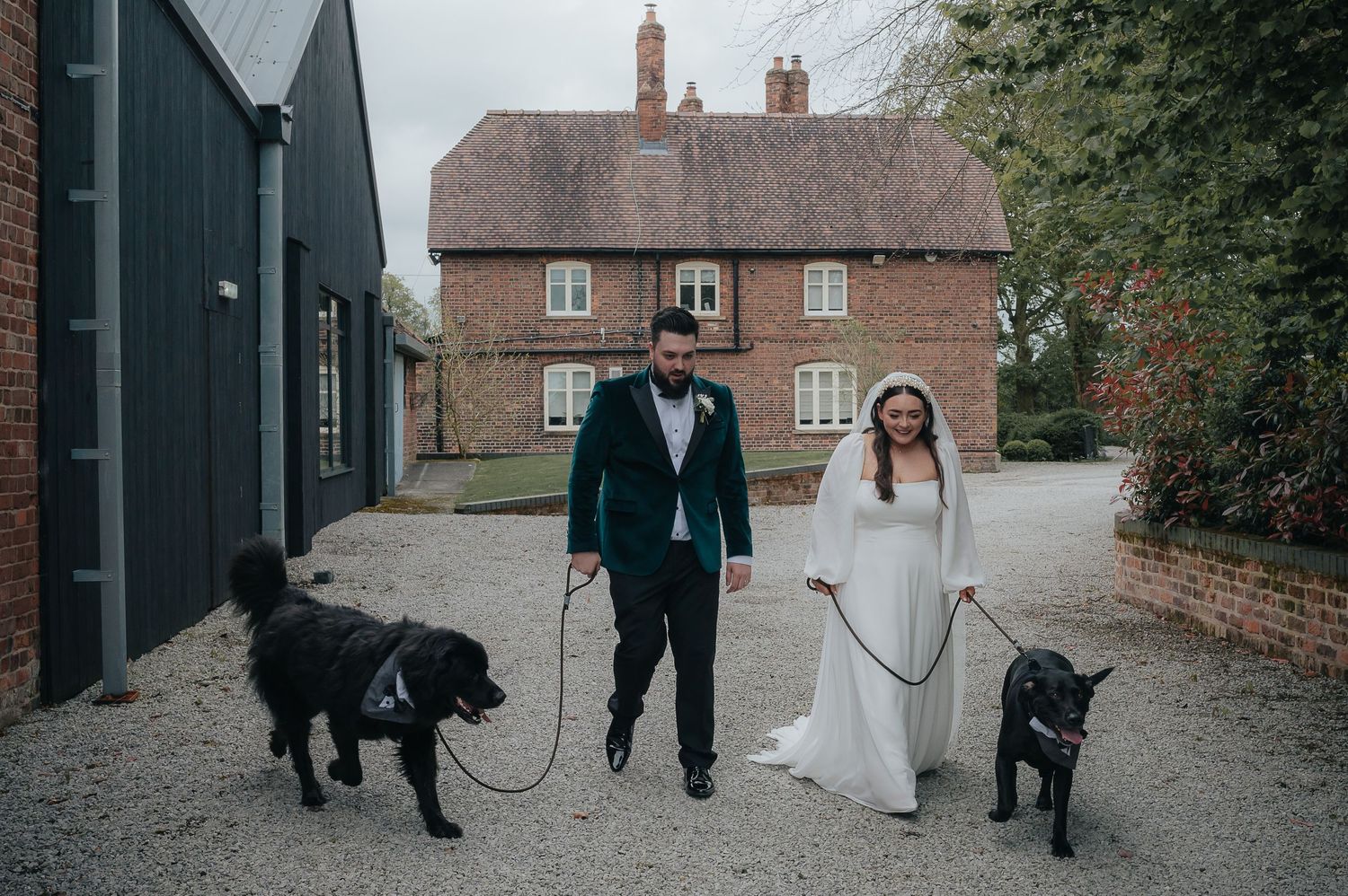 Wedding couple standing with two dogs outside traditional brick building.