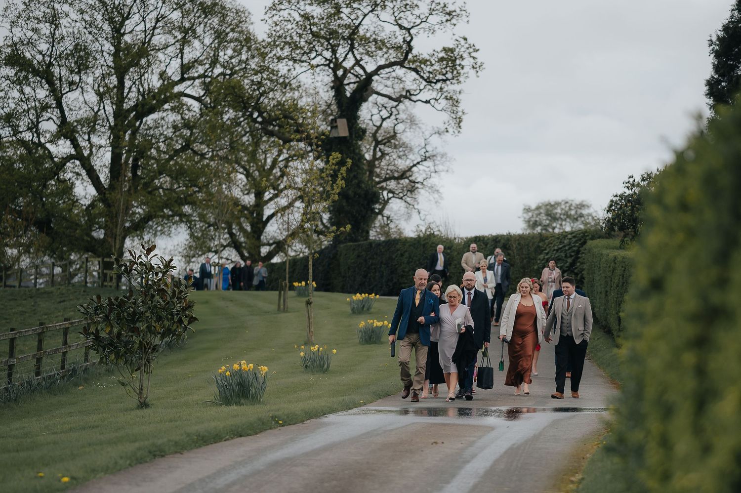 Group walking along a countryside path with spring daffodils in bloom.