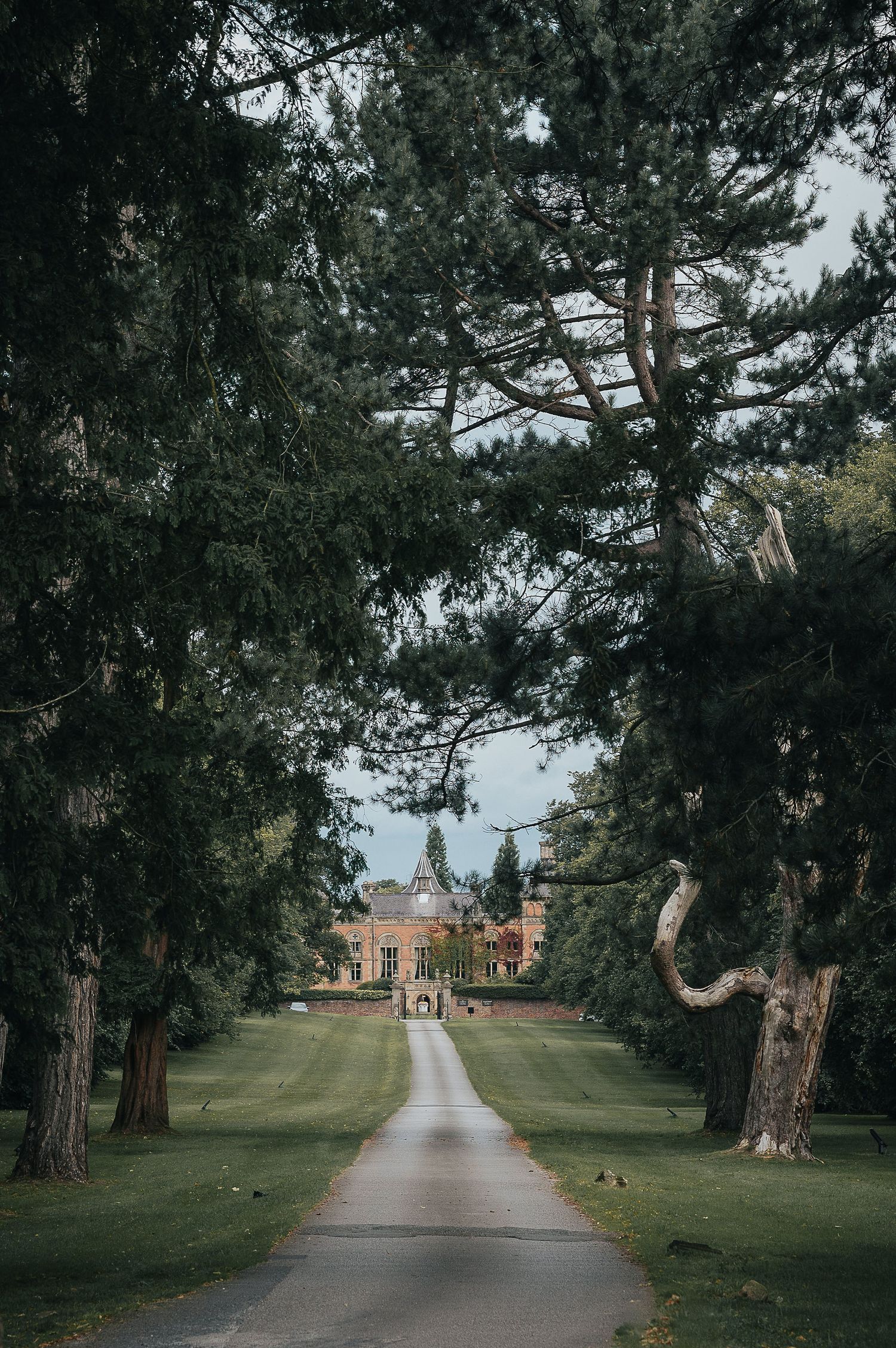 Long tree-lined driveway leading to a grand country estate or mansion.