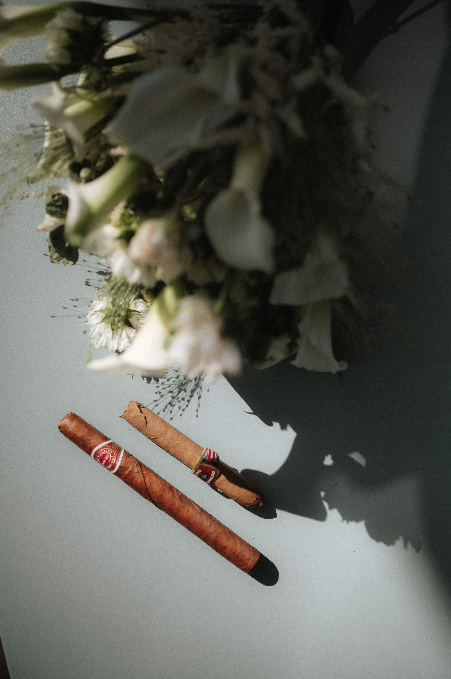 A series of artistic photos showing white flowers and orange cinnamon sticks against a moody dark background.