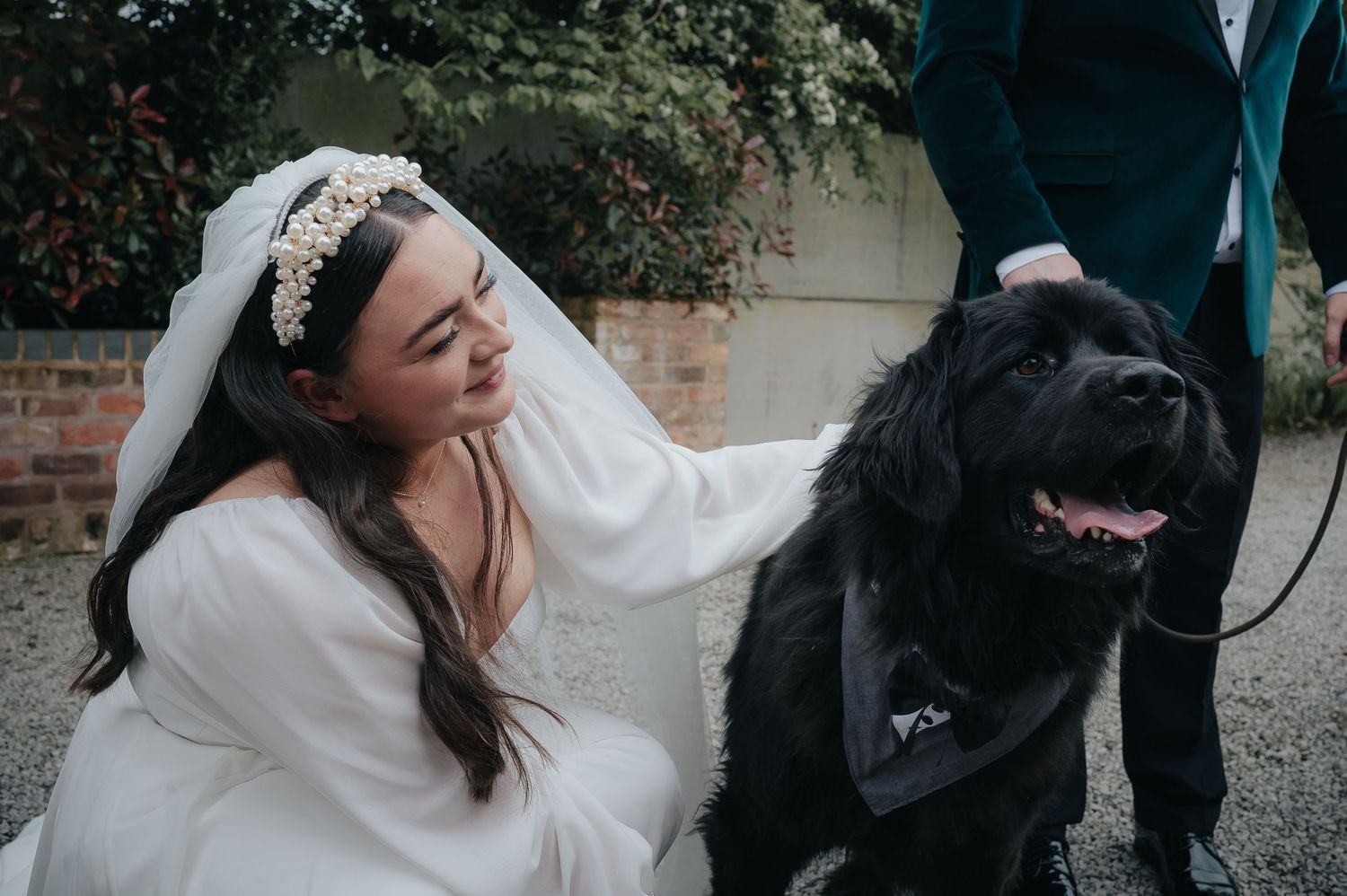 A bride in white wedding dress pets a large black dog wearing a bandana.